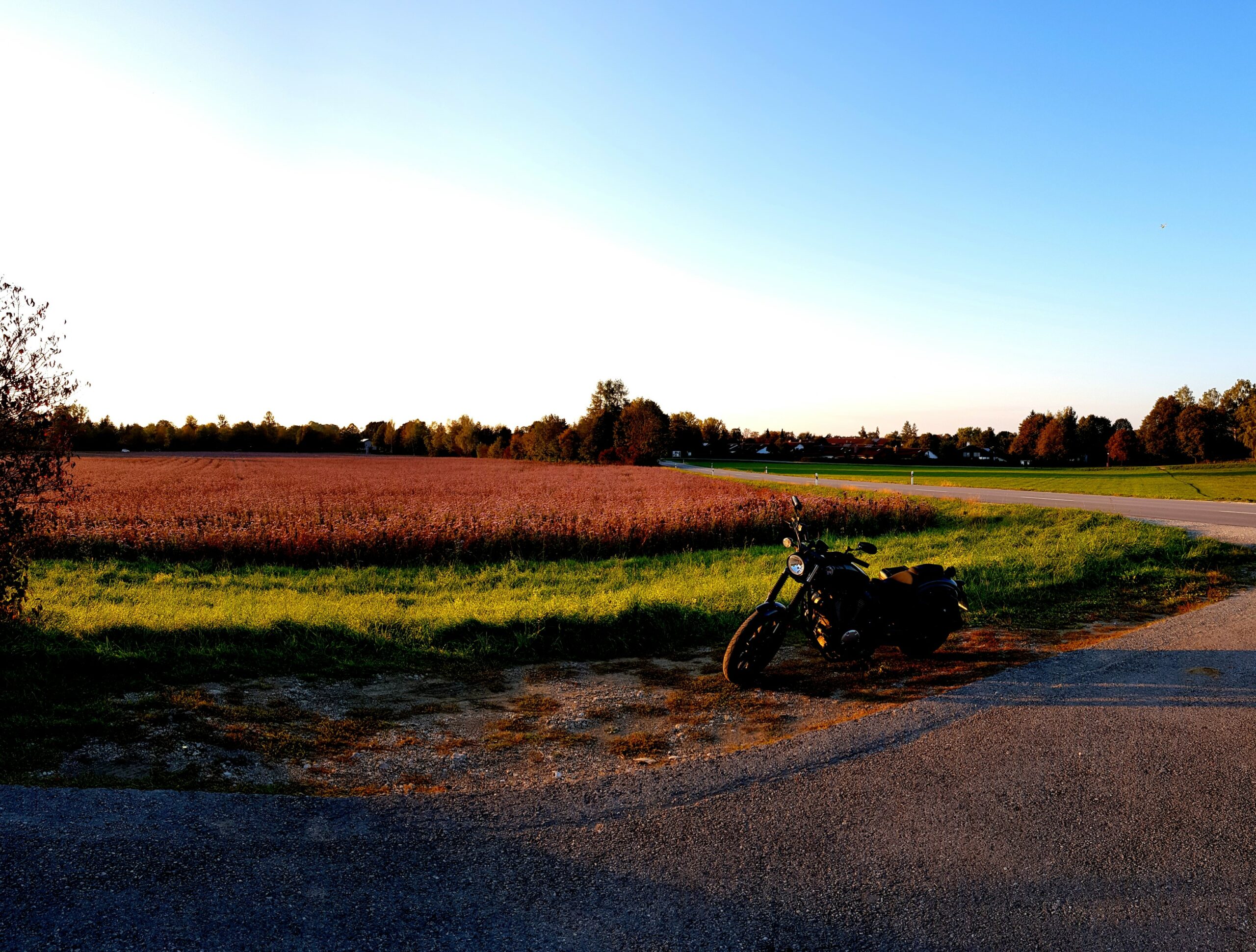 Featured image of post Abendsonne im September