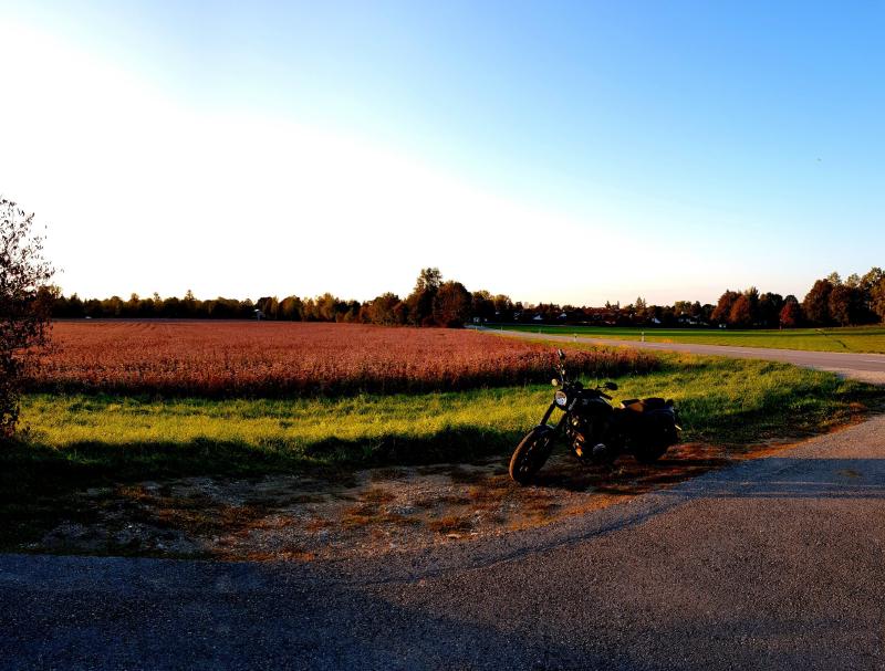 Featured image of post Abendsonne im September