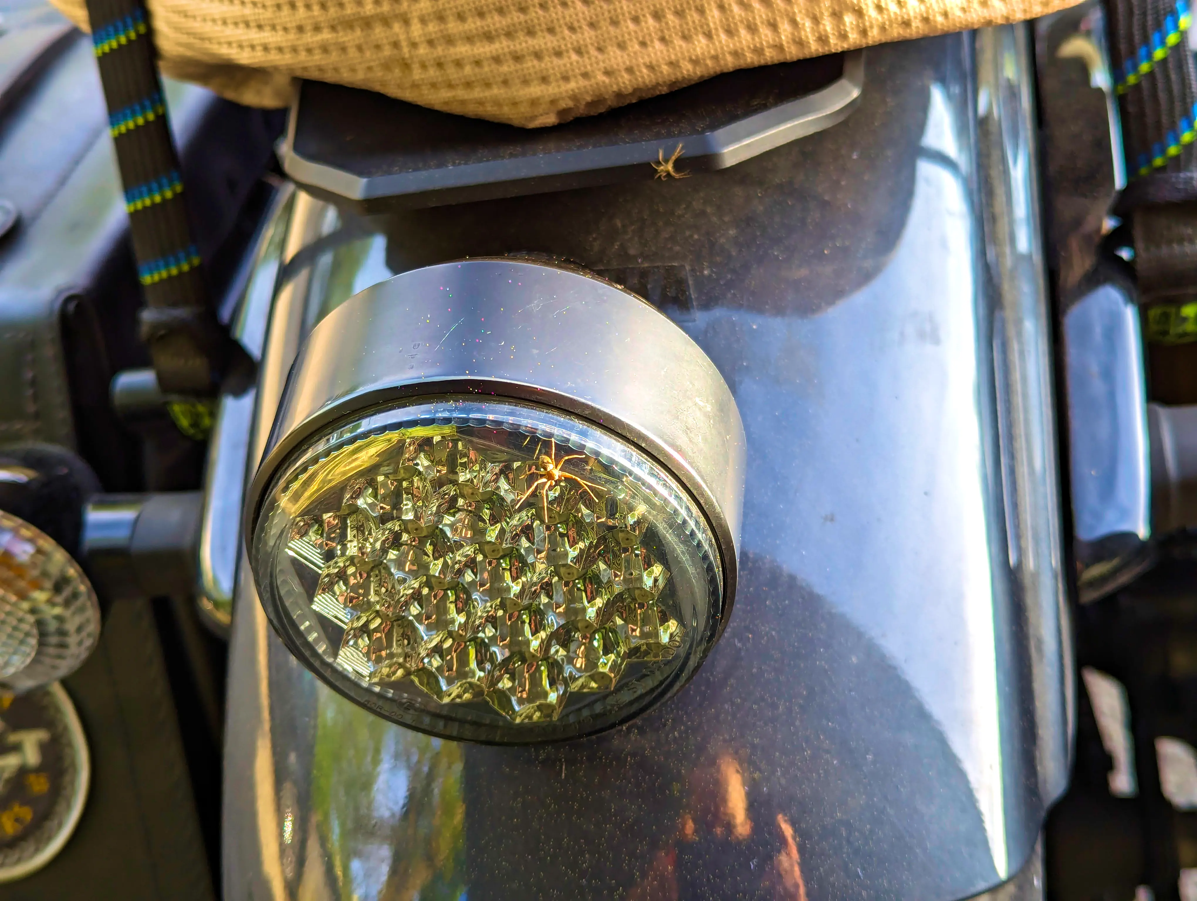 Blinder Passagier: Spider-Bro