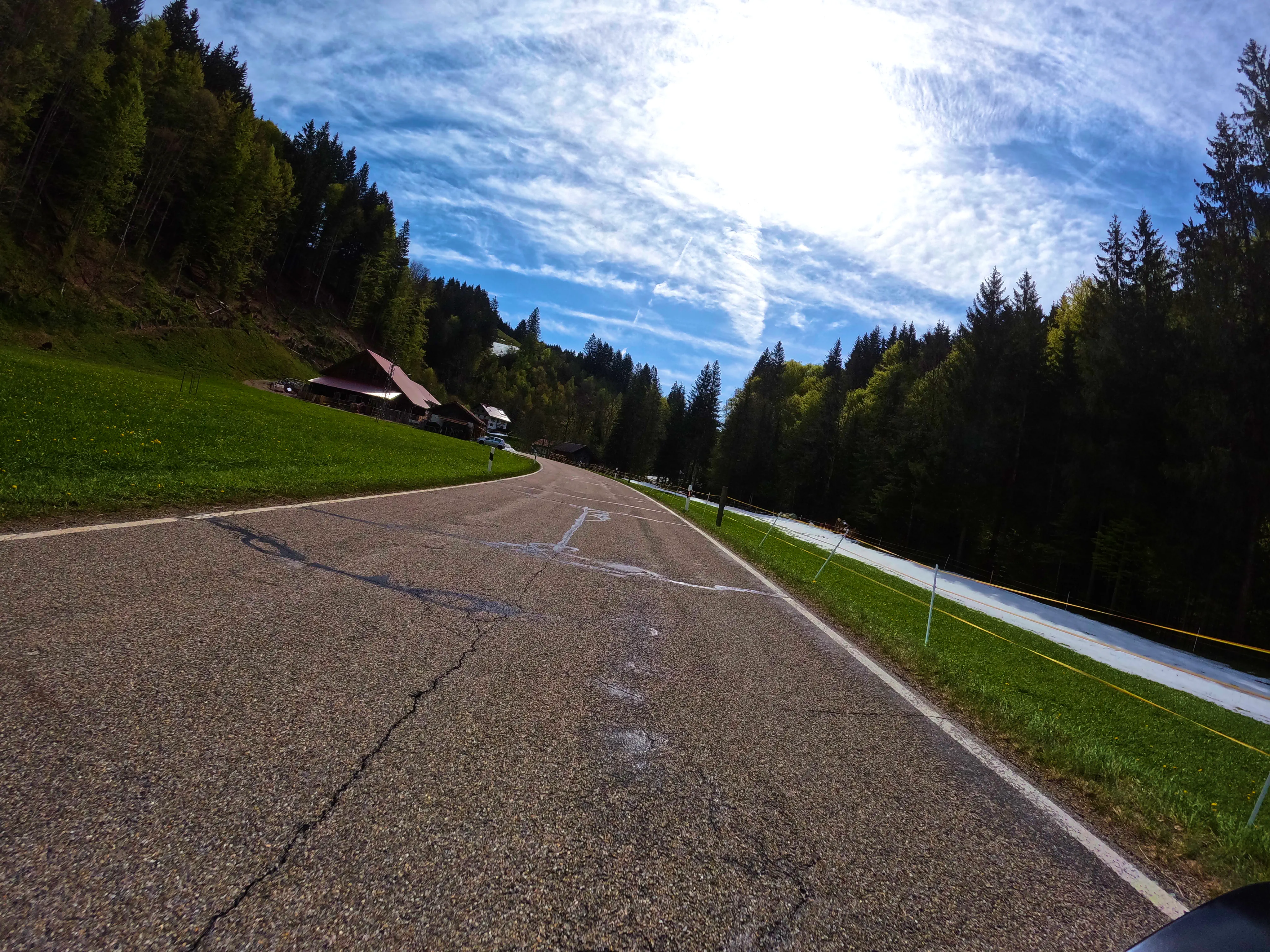 Hier am Waldrand noch mehr davon!