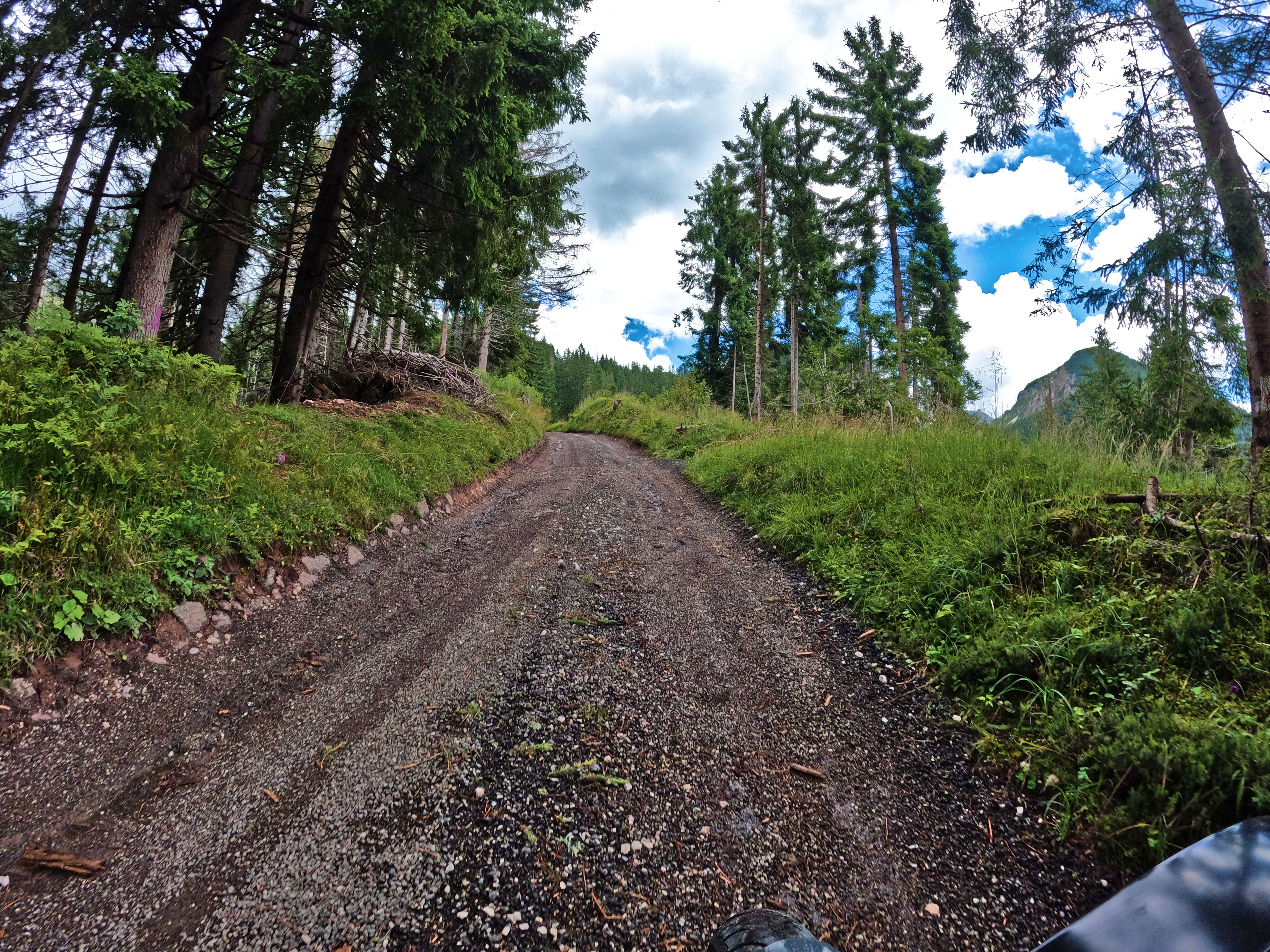 … beinahe kein Teer.