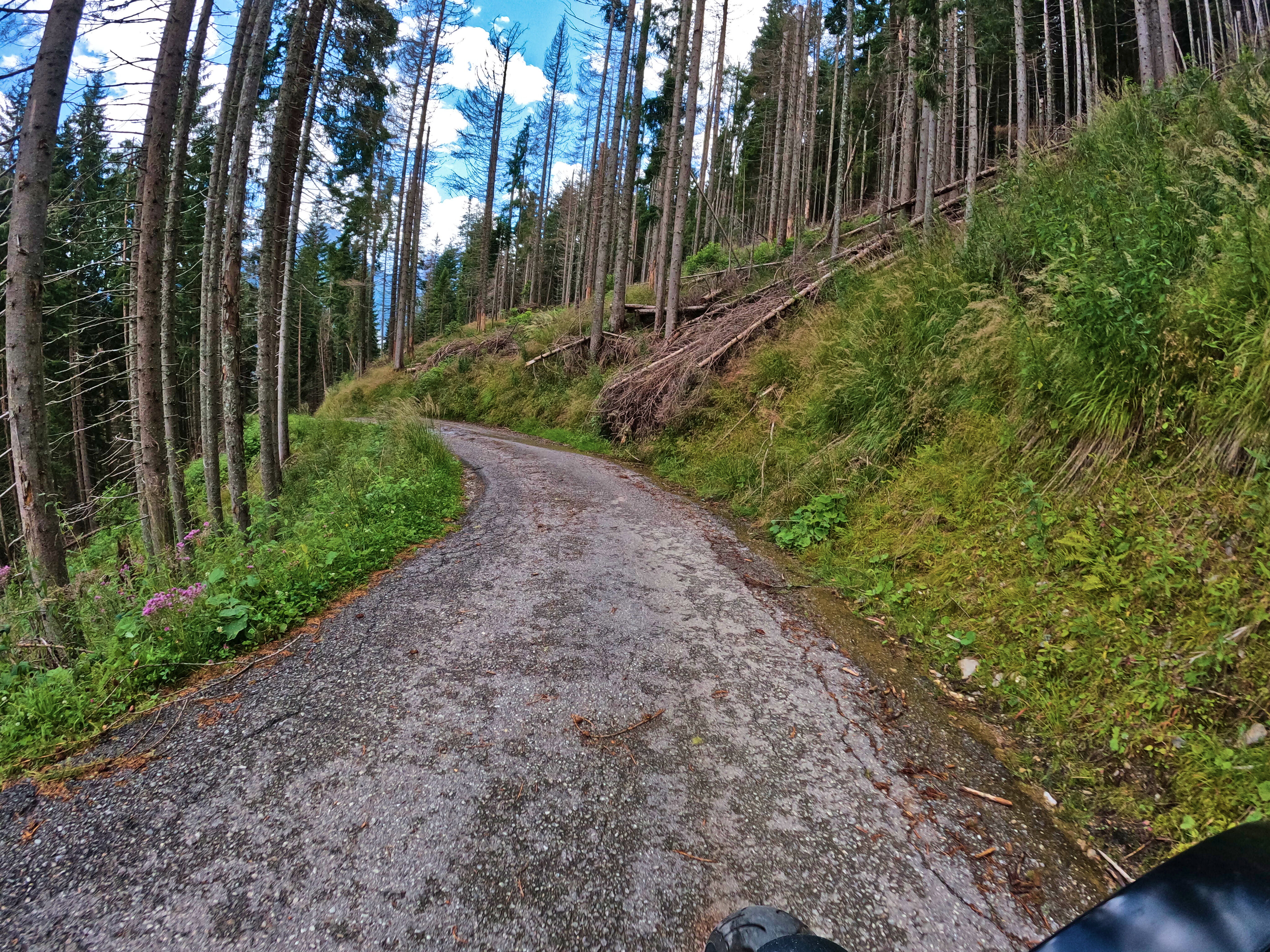 Besserung: Immerhin …