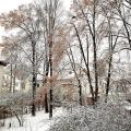 Blick aus dem Fenster, Nummer 2