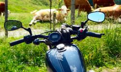 Featured image of post BÖSI - Teil 5: Finale!