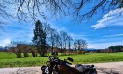 Featured image of post Der erste (und bisher einzige) Passknacker 2023