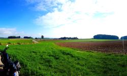 Featured image of post Der Herbst zeigt sich langsam