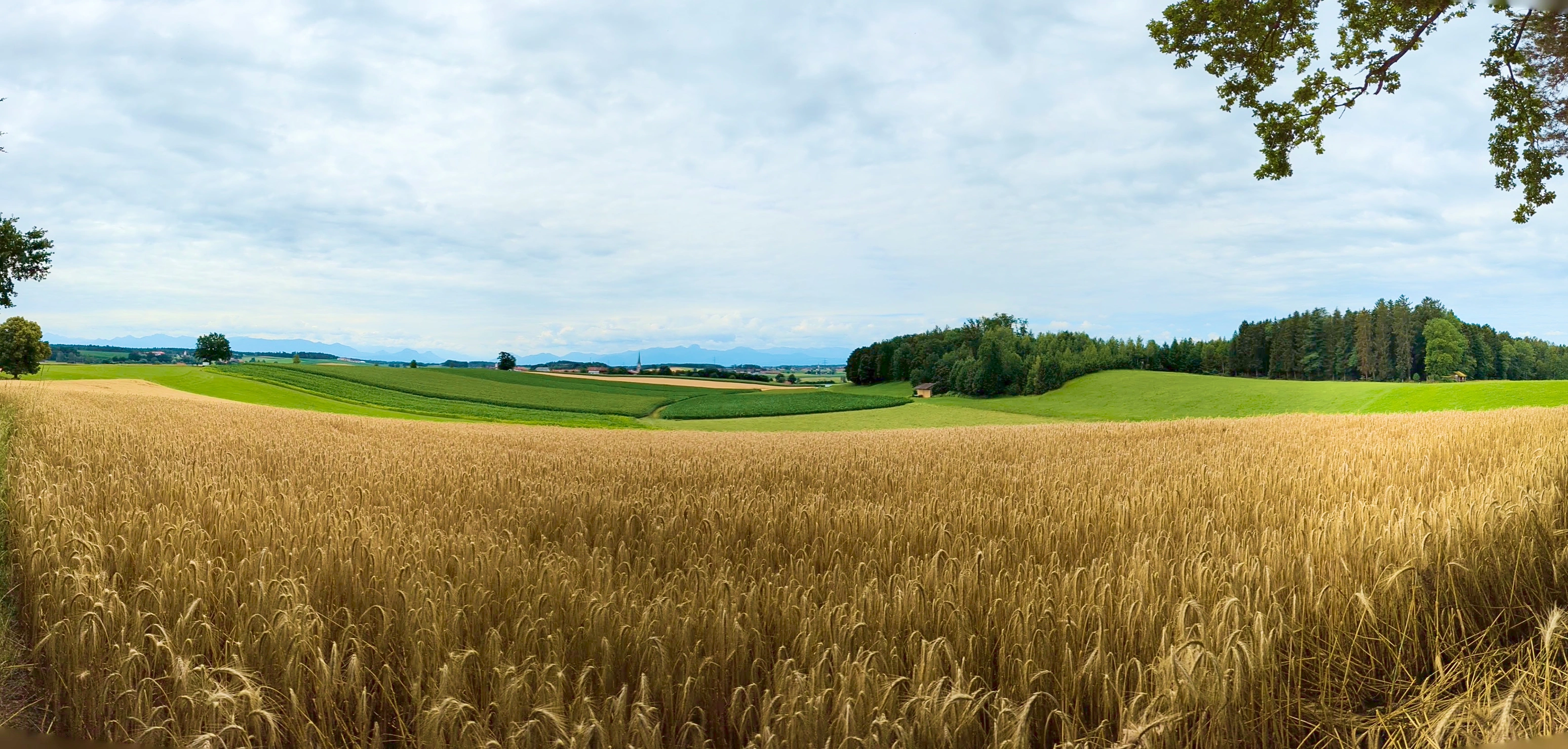 Ausblick am Aussichtspunkt