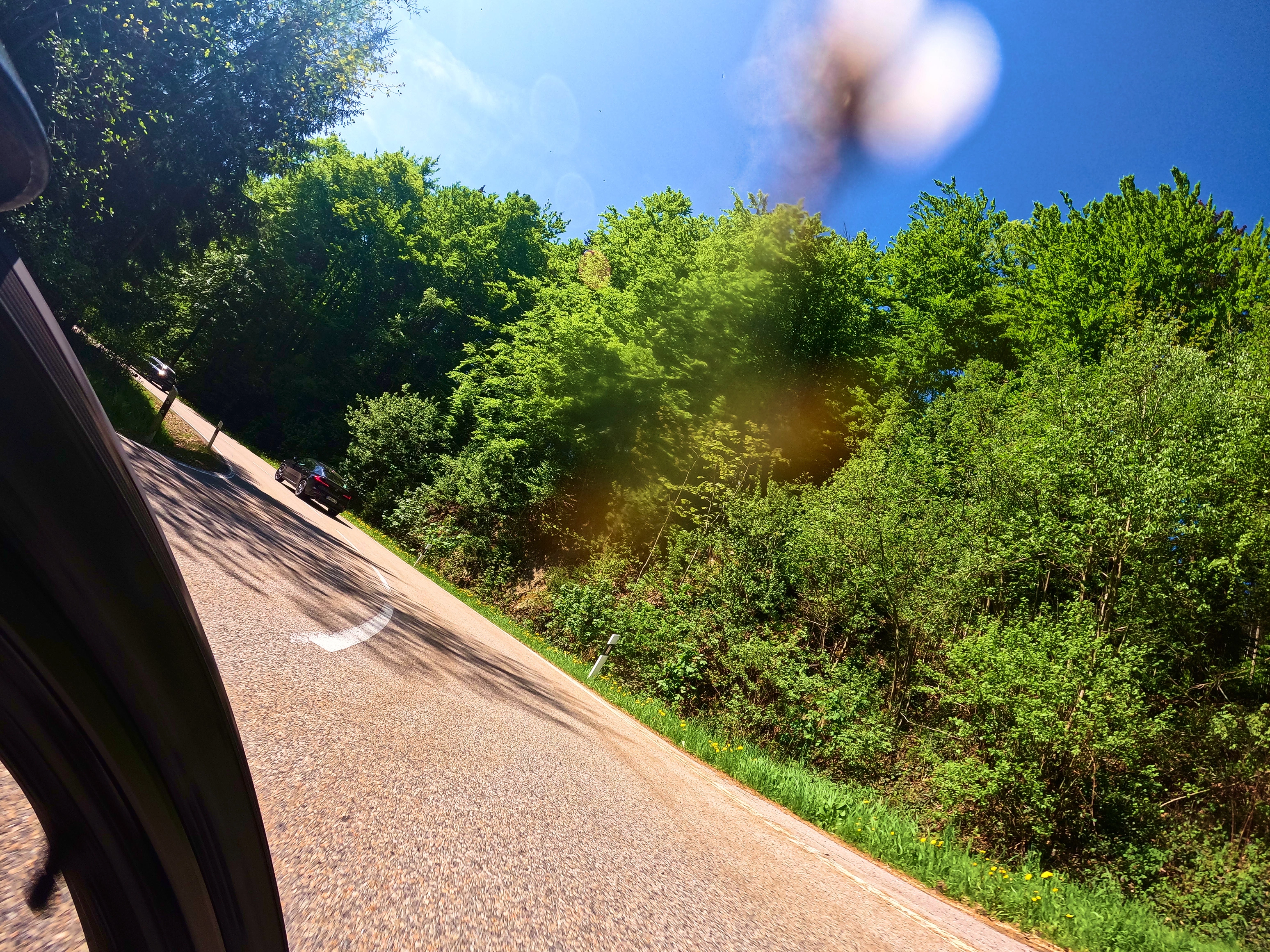 Totes Tier auf der Kamera