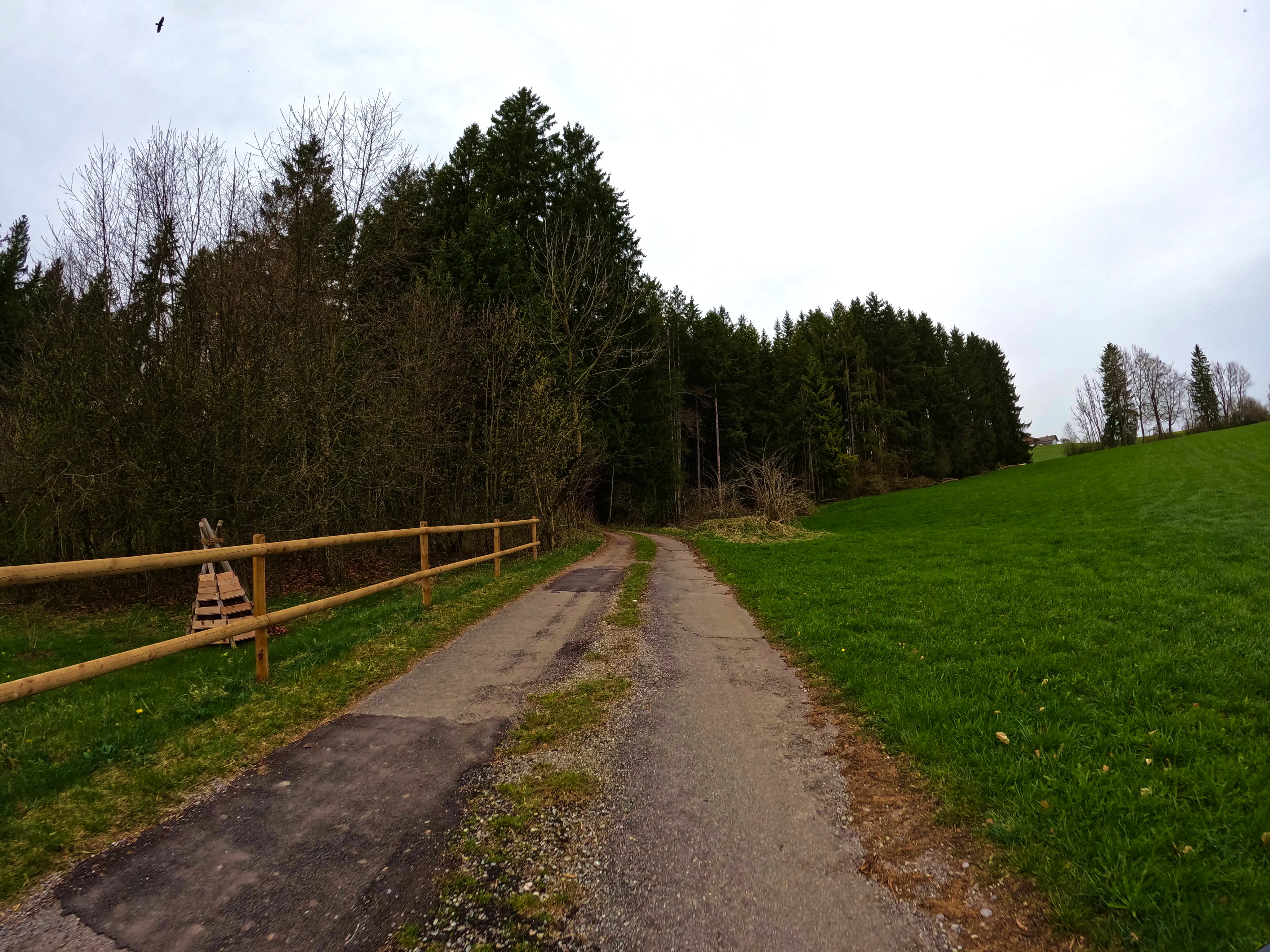 Neue Wege …