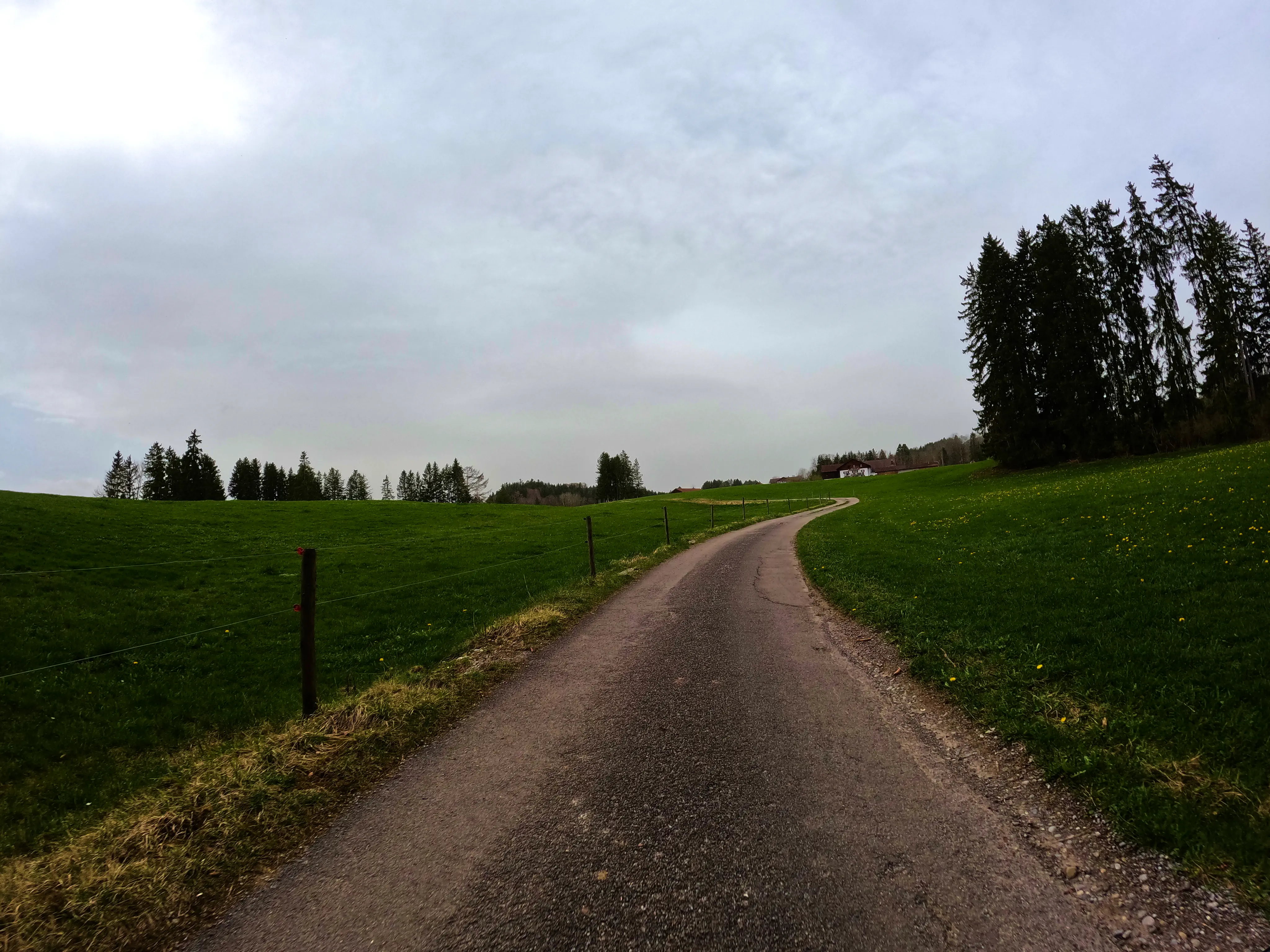 … zum Auerberg …