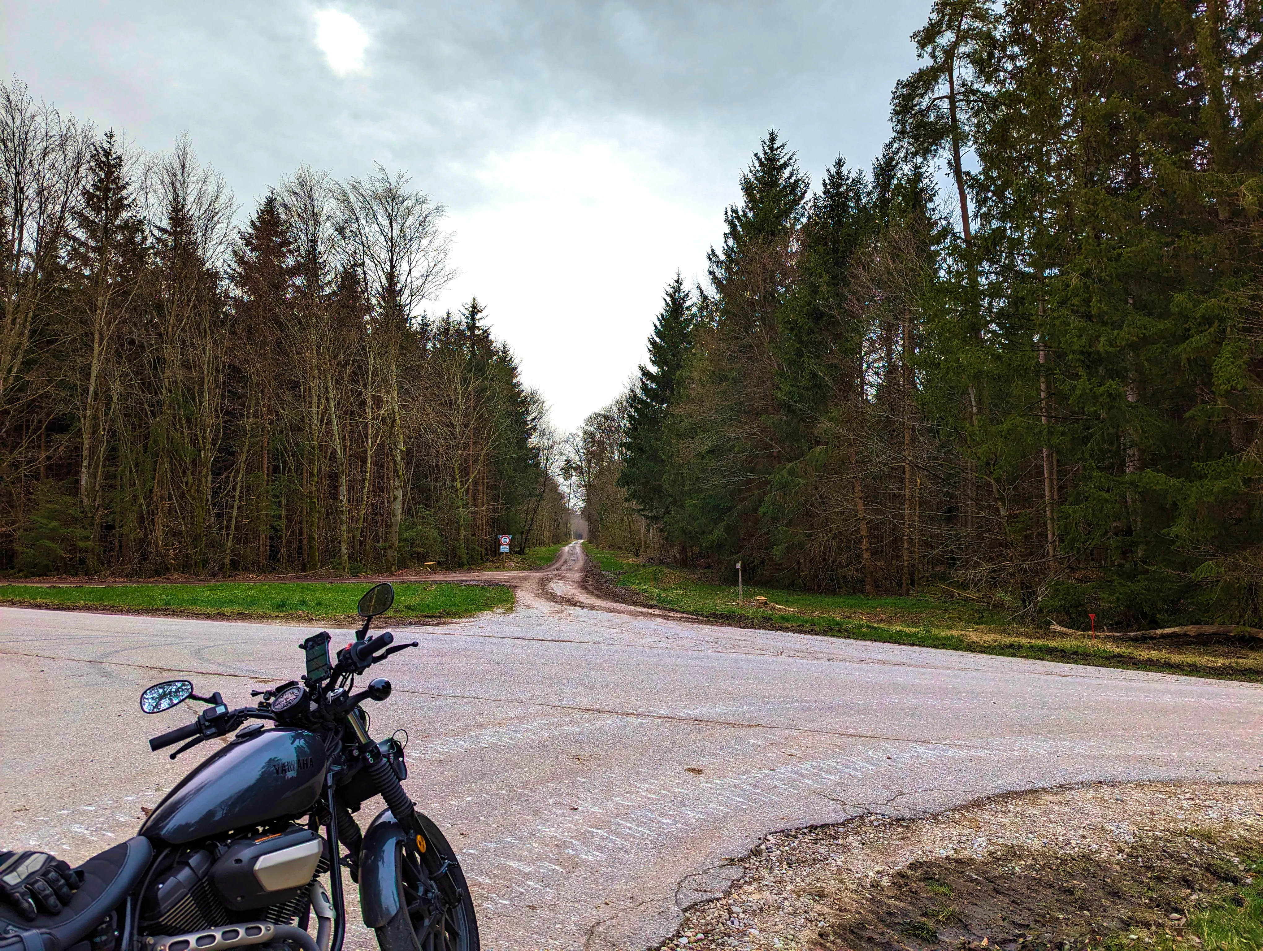 Kurze Pause im Wald …