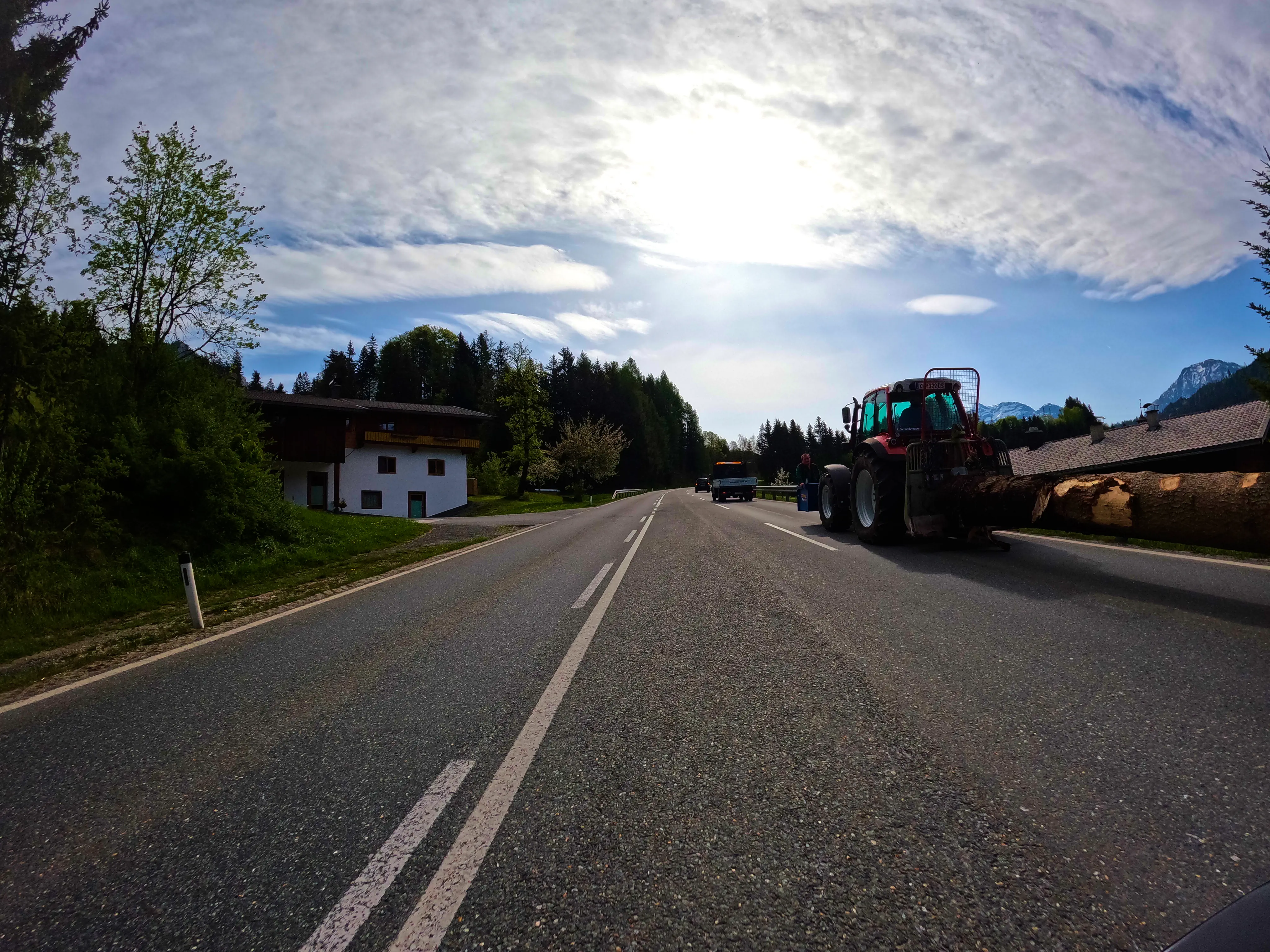 Semi-legaler Maibaum-Transport