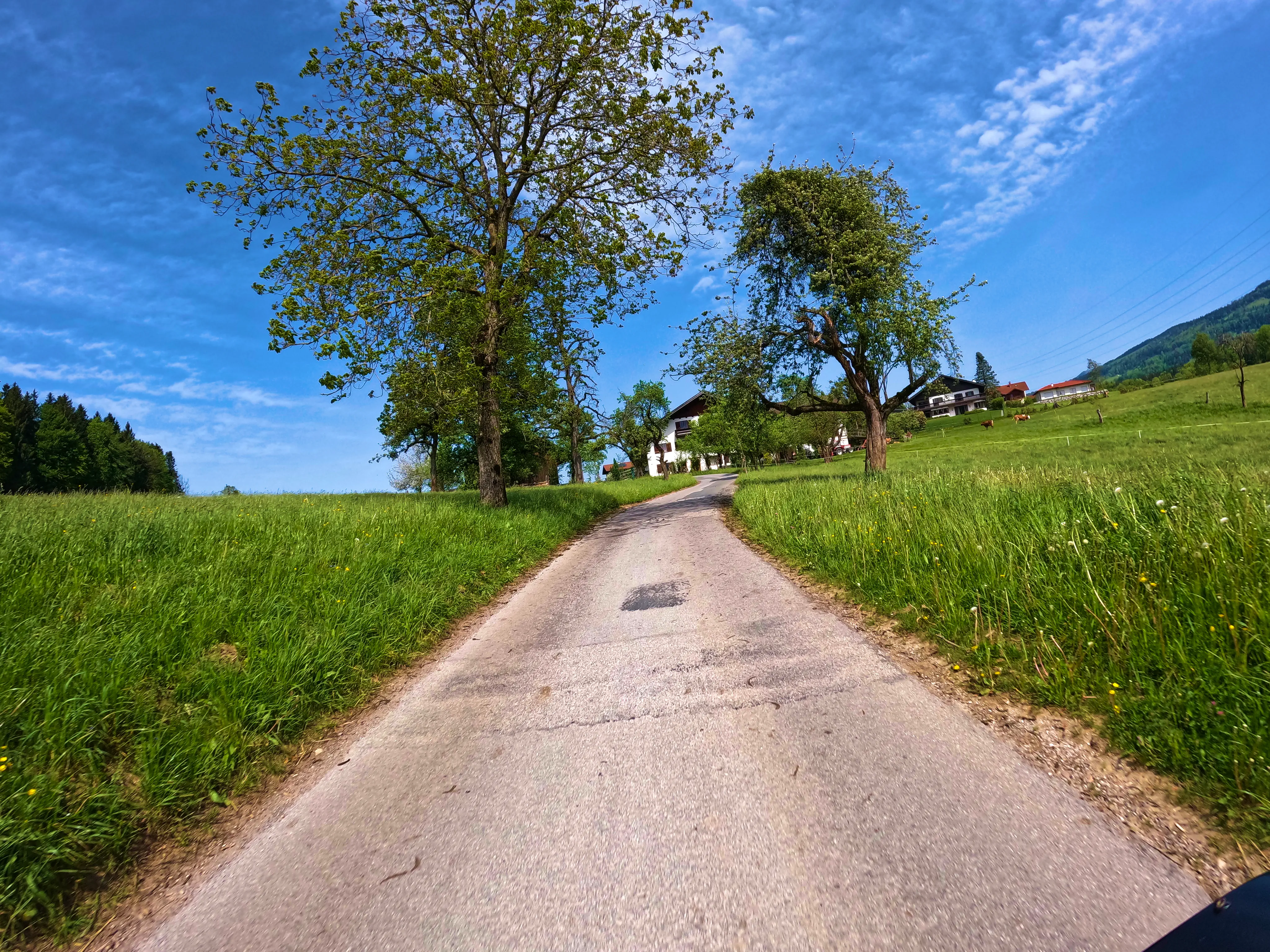 Über Schleichwege …