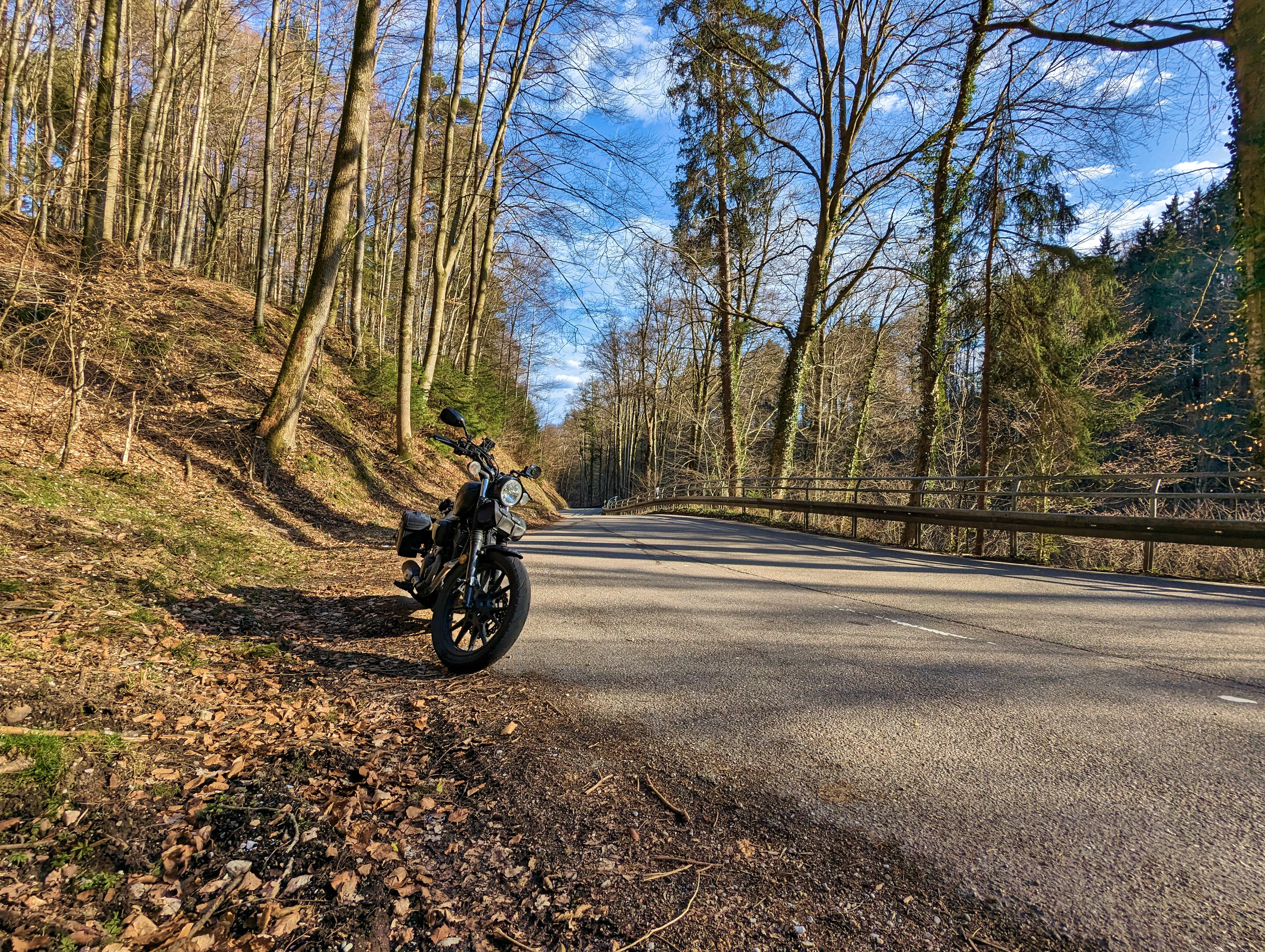 … und der Frühling kommt.