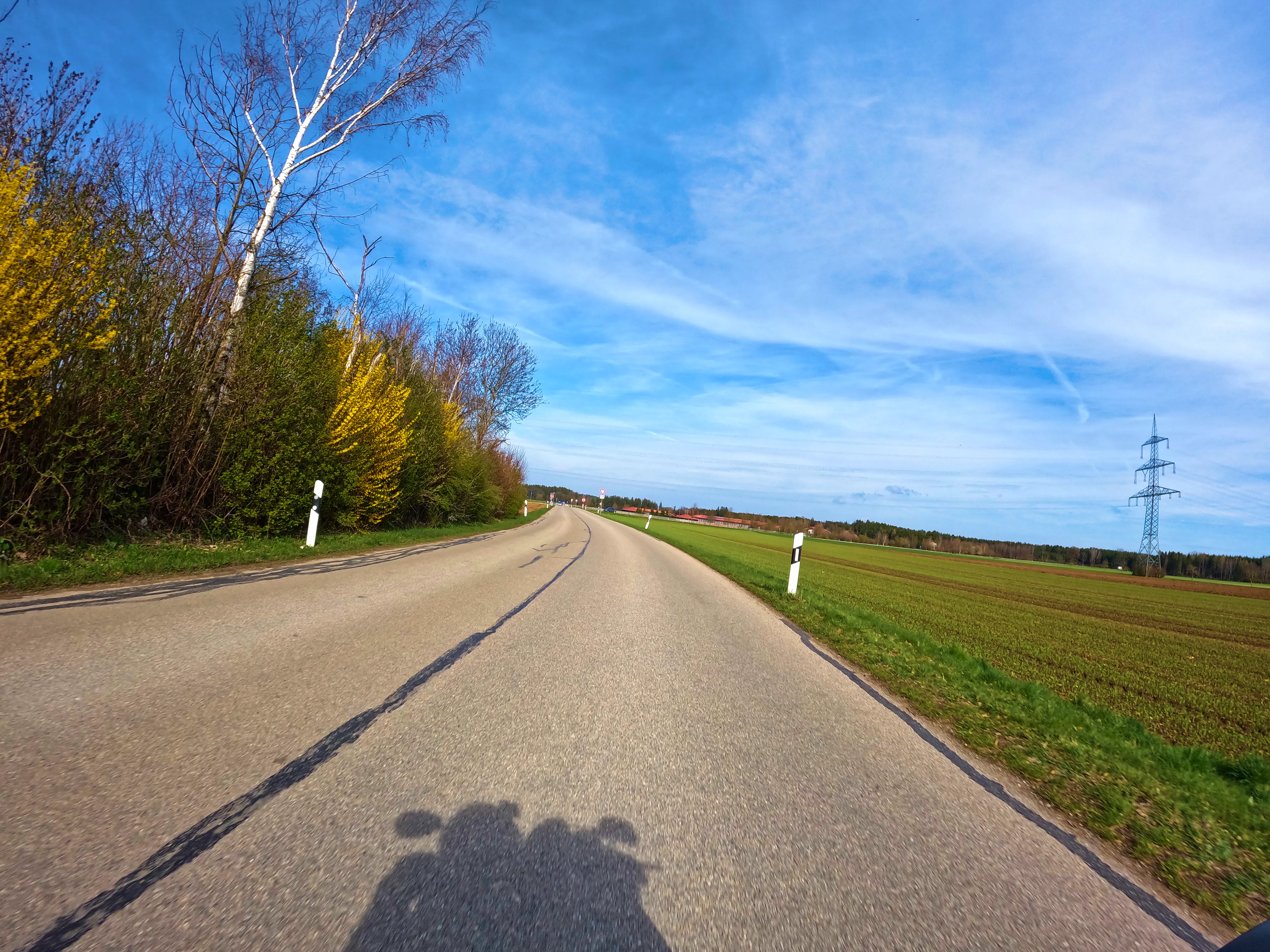 Die ersten Anzeichen des Frühlings