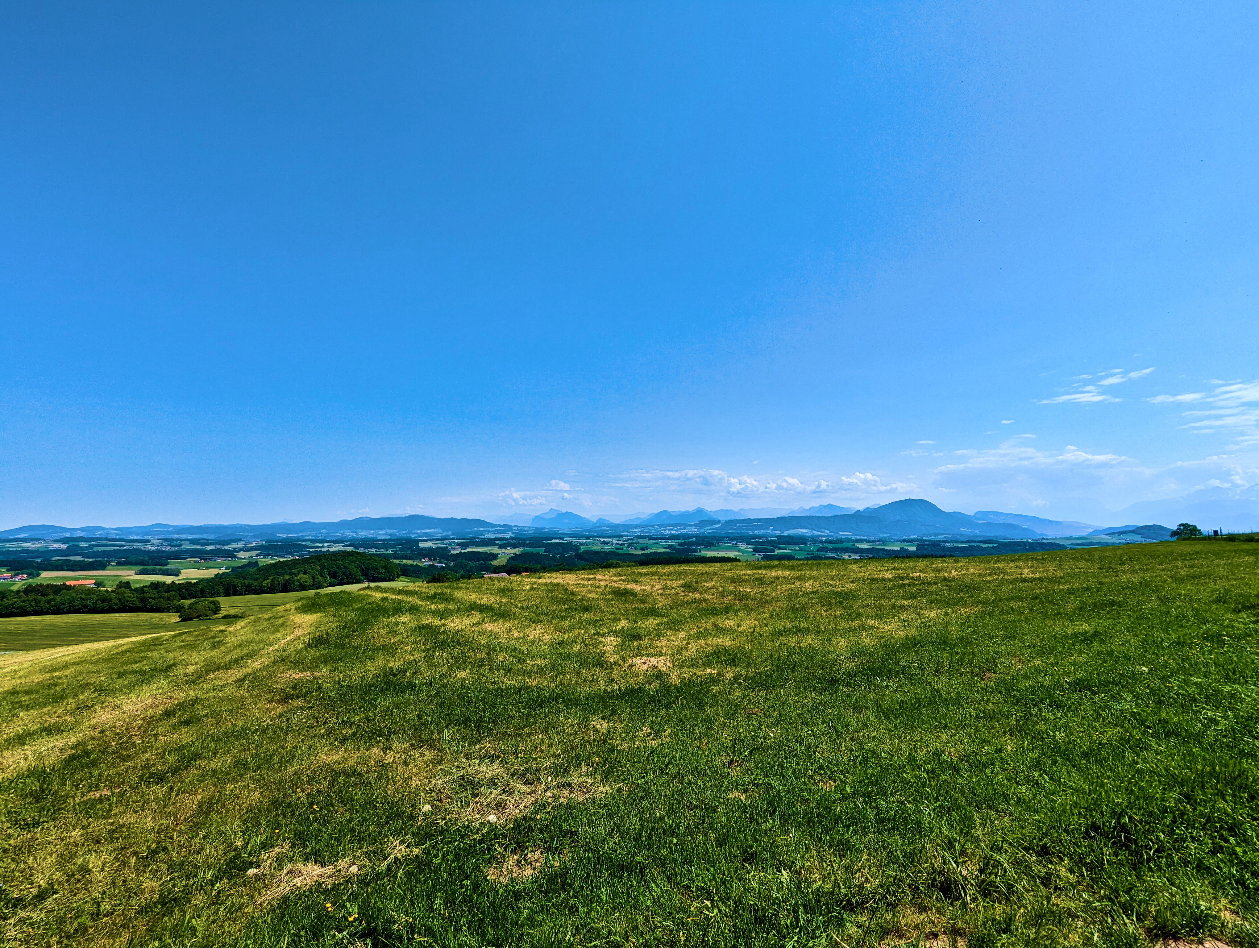 … Nachweis des Tages.