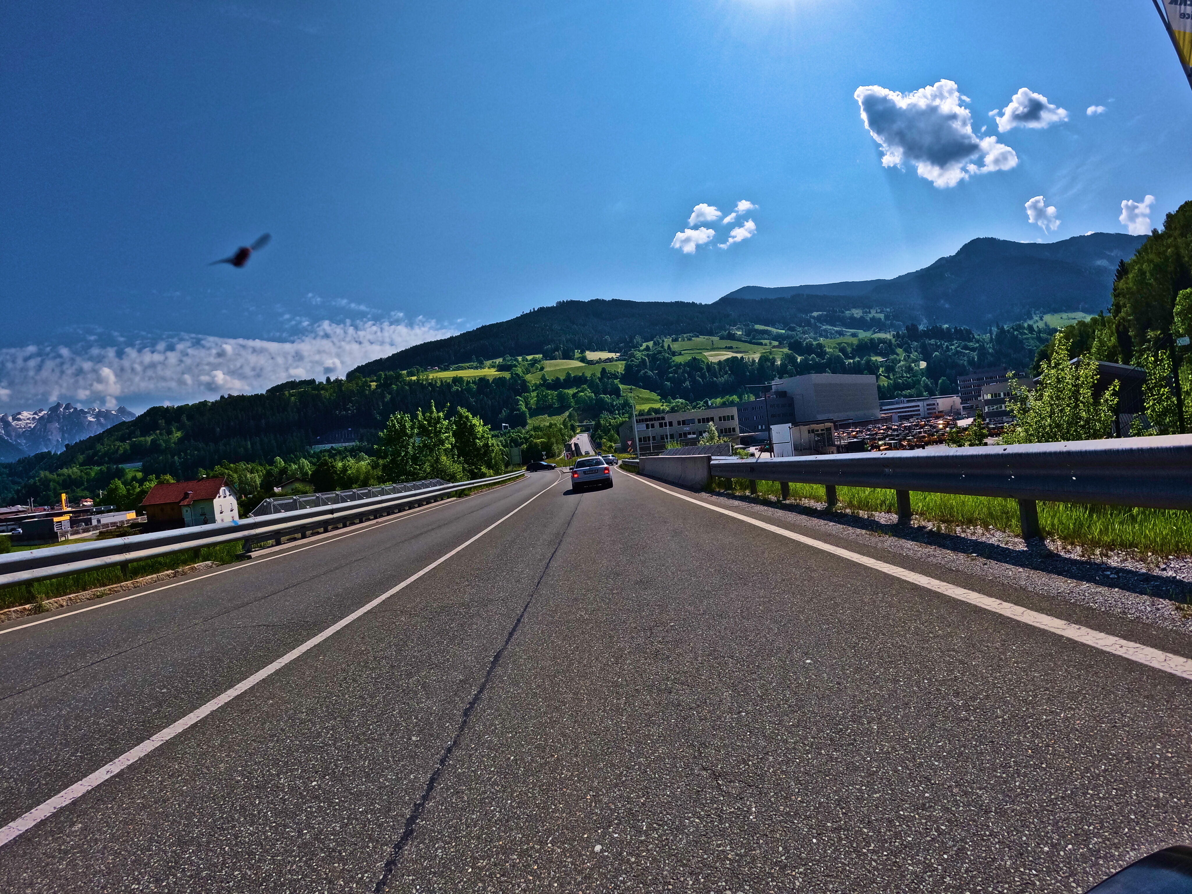 Vogel auf Kollisionskurs