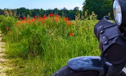 Featured image of post Early-Bird-Runde um den Ebersberger Forst