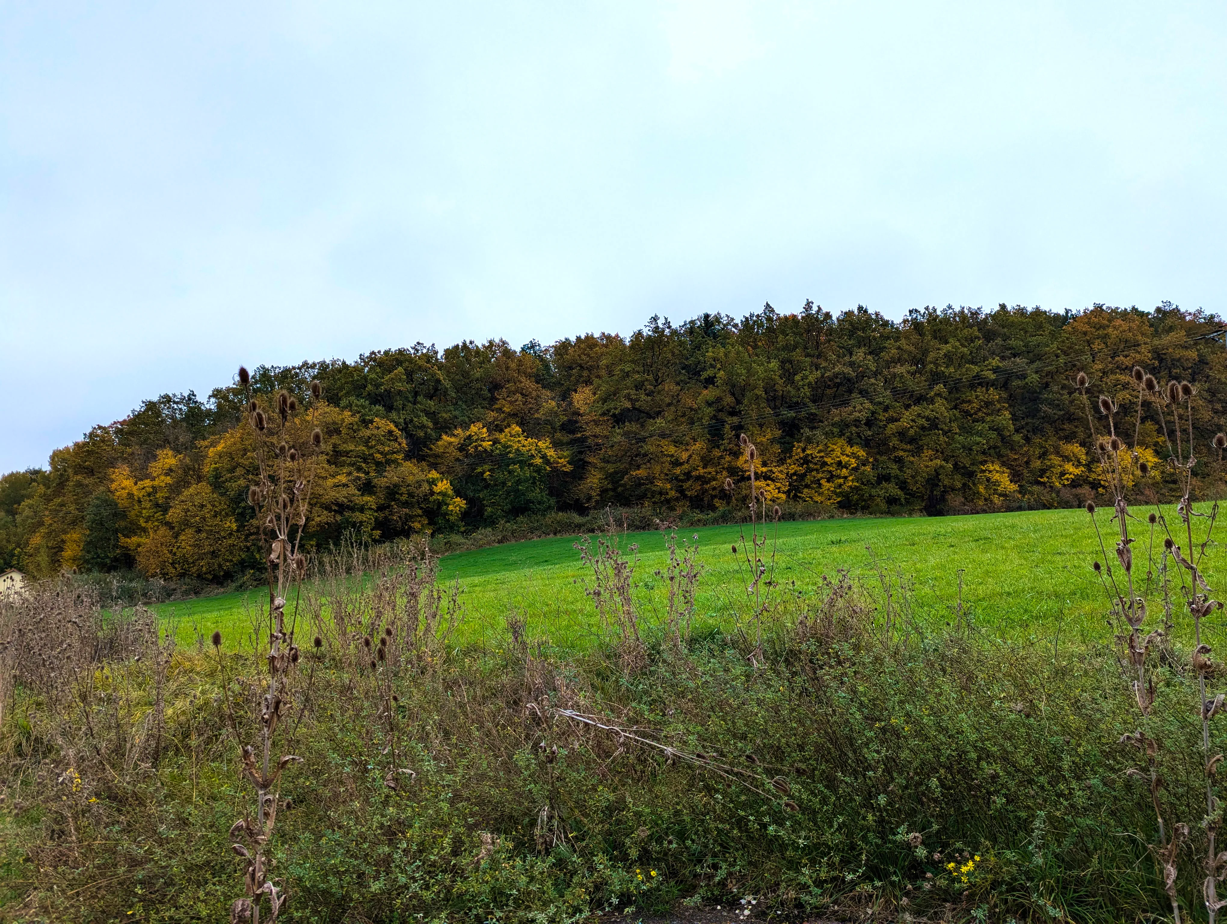 Kurze Orientierungspause