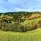 Es wird Herbst
