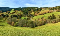 Featured image of post Es wird Herbst