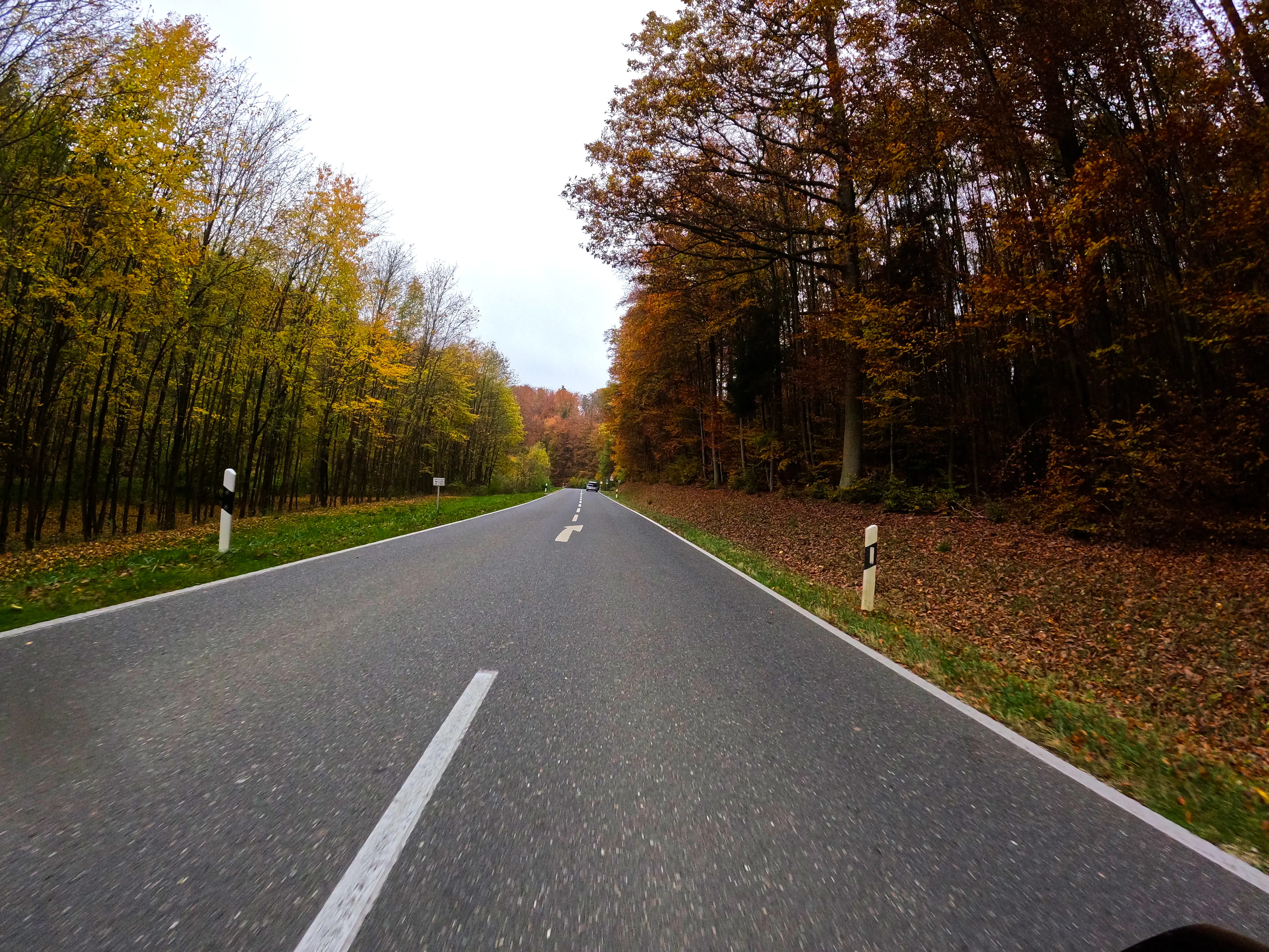 … Wälder und über …