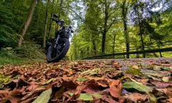 Featured image of post Herbst 2025