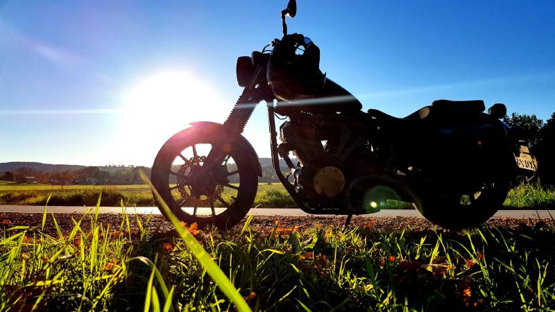 Featured image of post Herbstsonne auf der Hausrunde