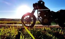 Featured image of post Herbstsonne auf der Hausrunde