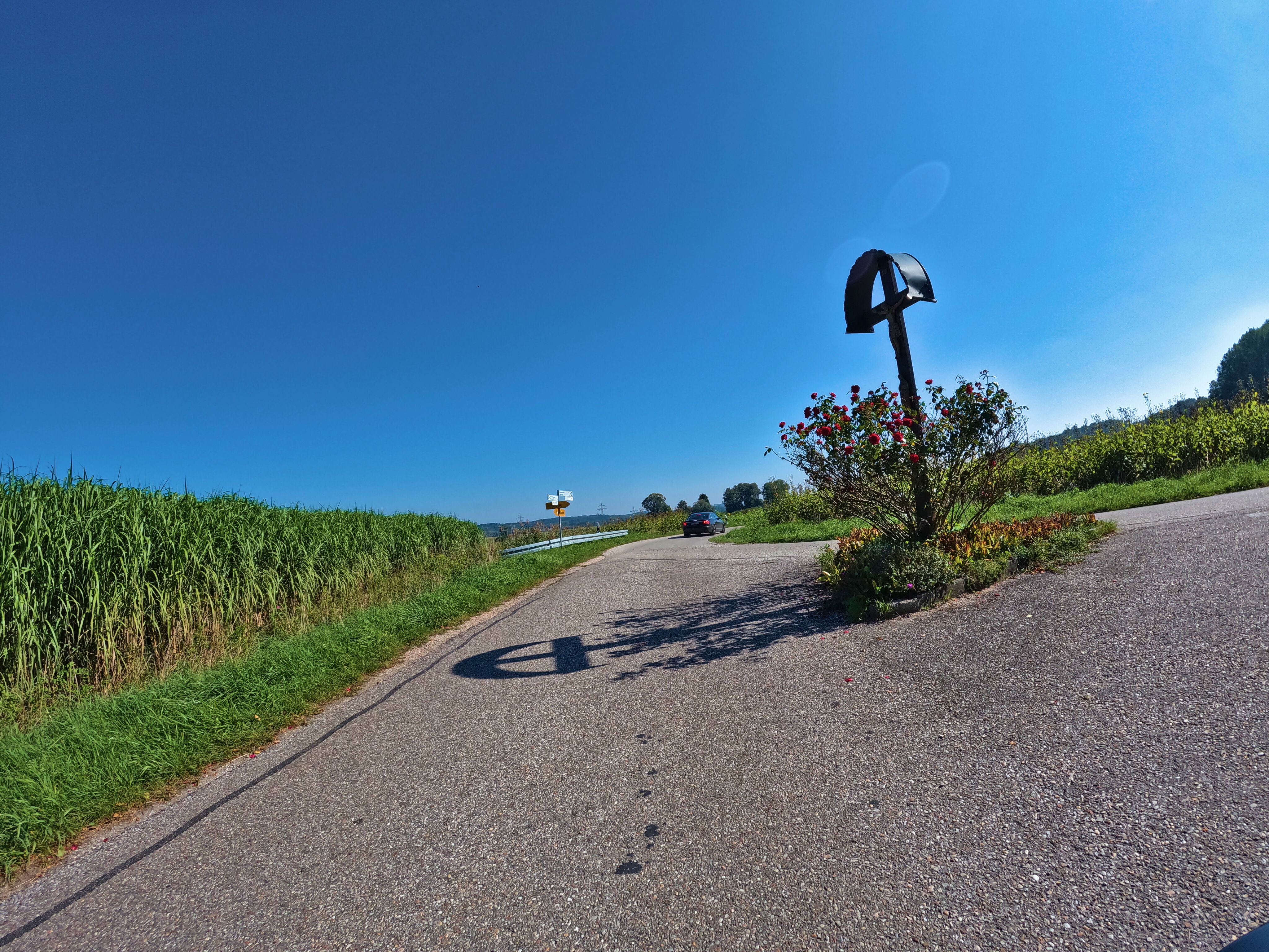 Da hängt er, mitten auf der Straße…