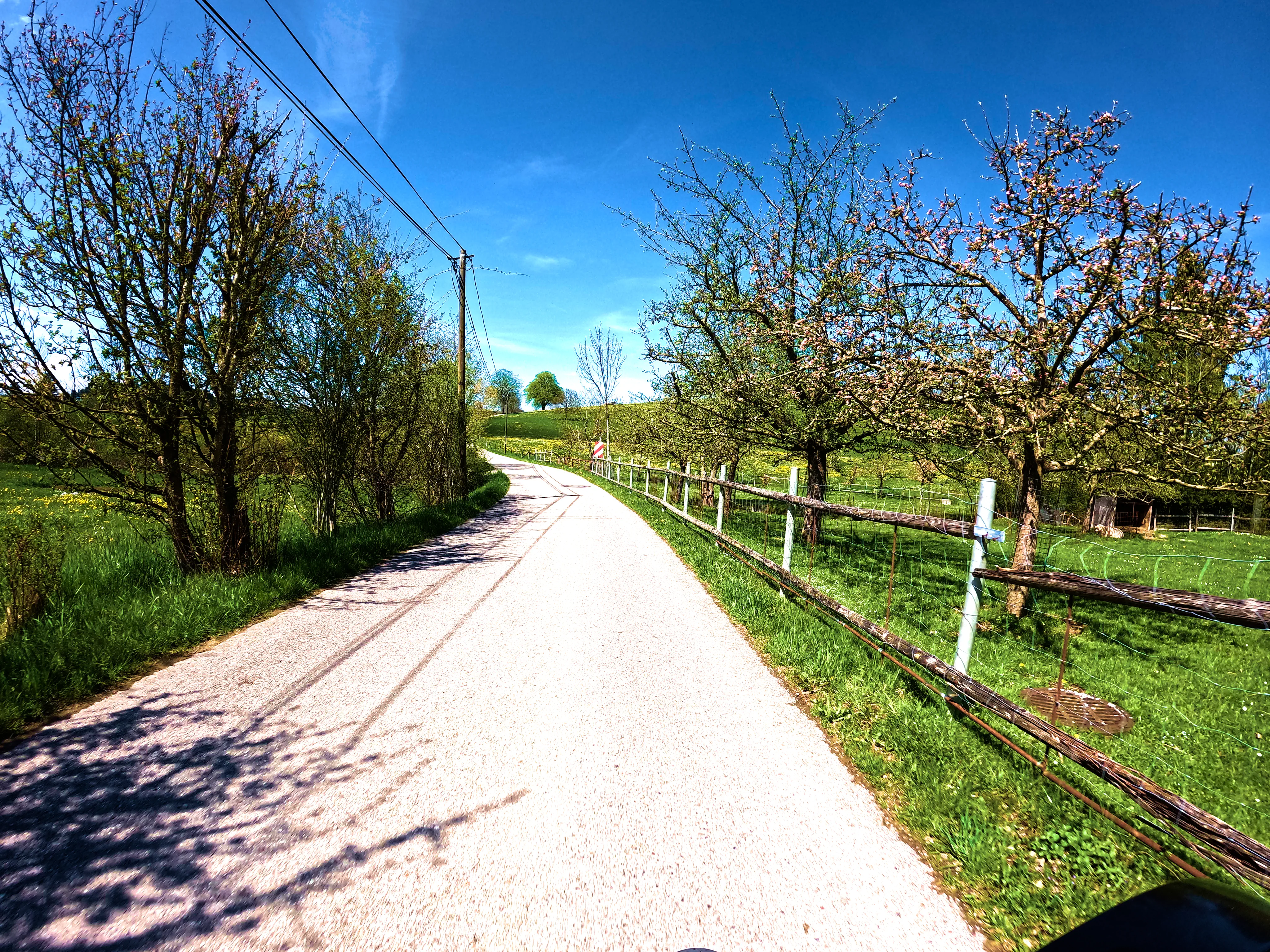 Vorbei an Obstbäumen