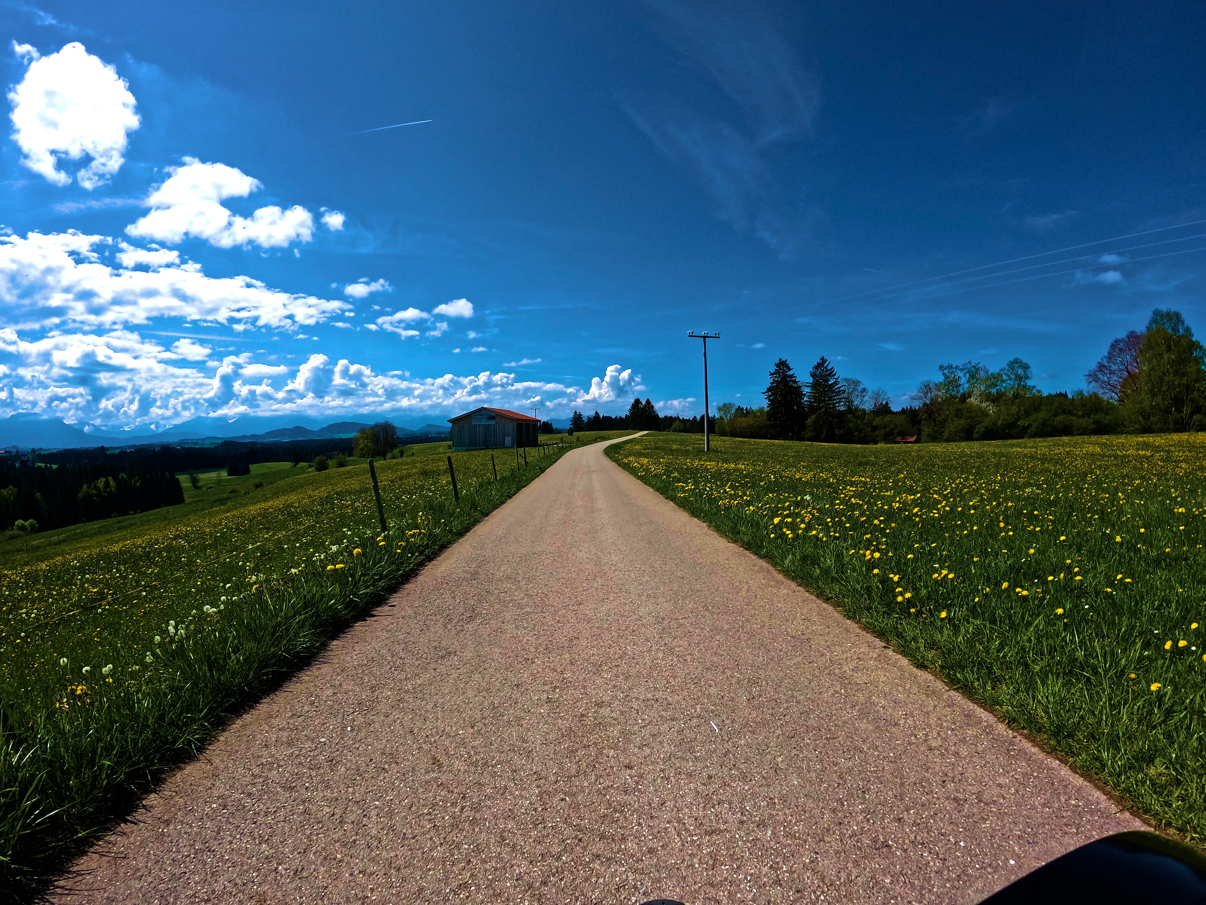 Asphaltierte kleine Straße