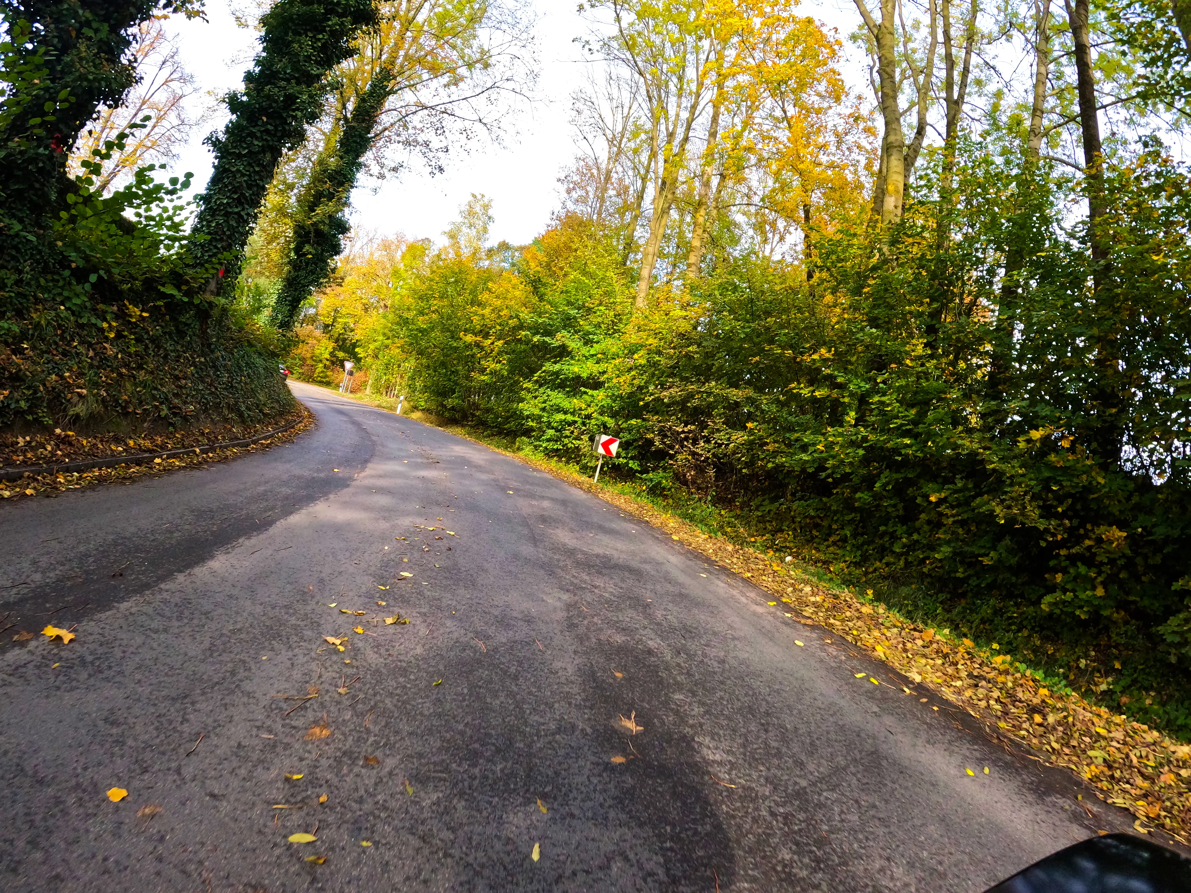 Laub auf der Straße