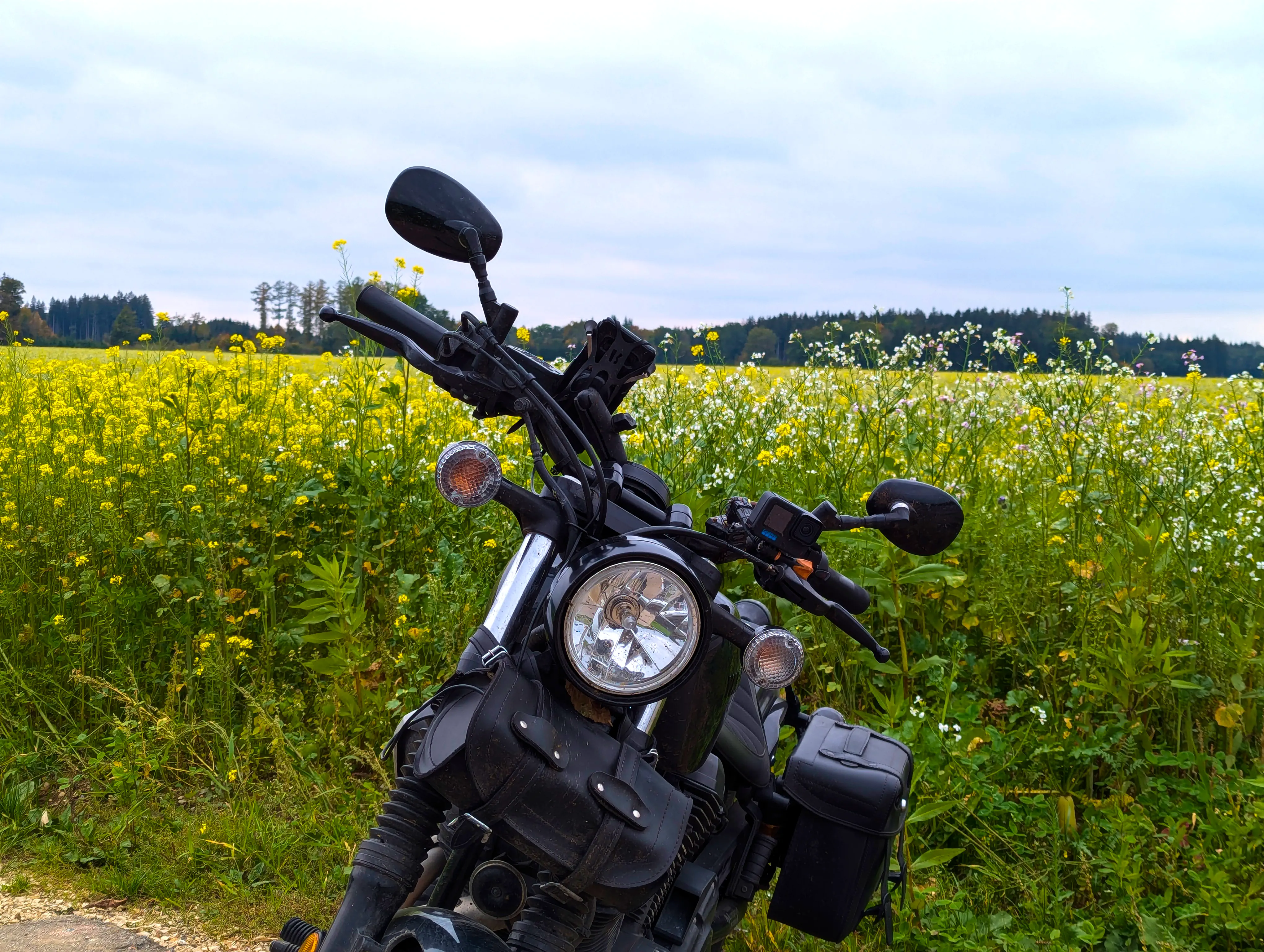 Da klemmt Laub unterm Scheinwerfer!
