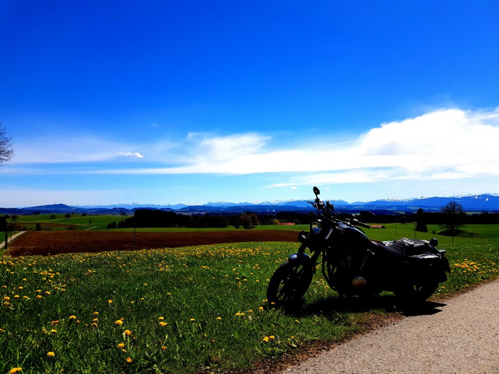 Bolt und Löwenzahn und Weitblick.