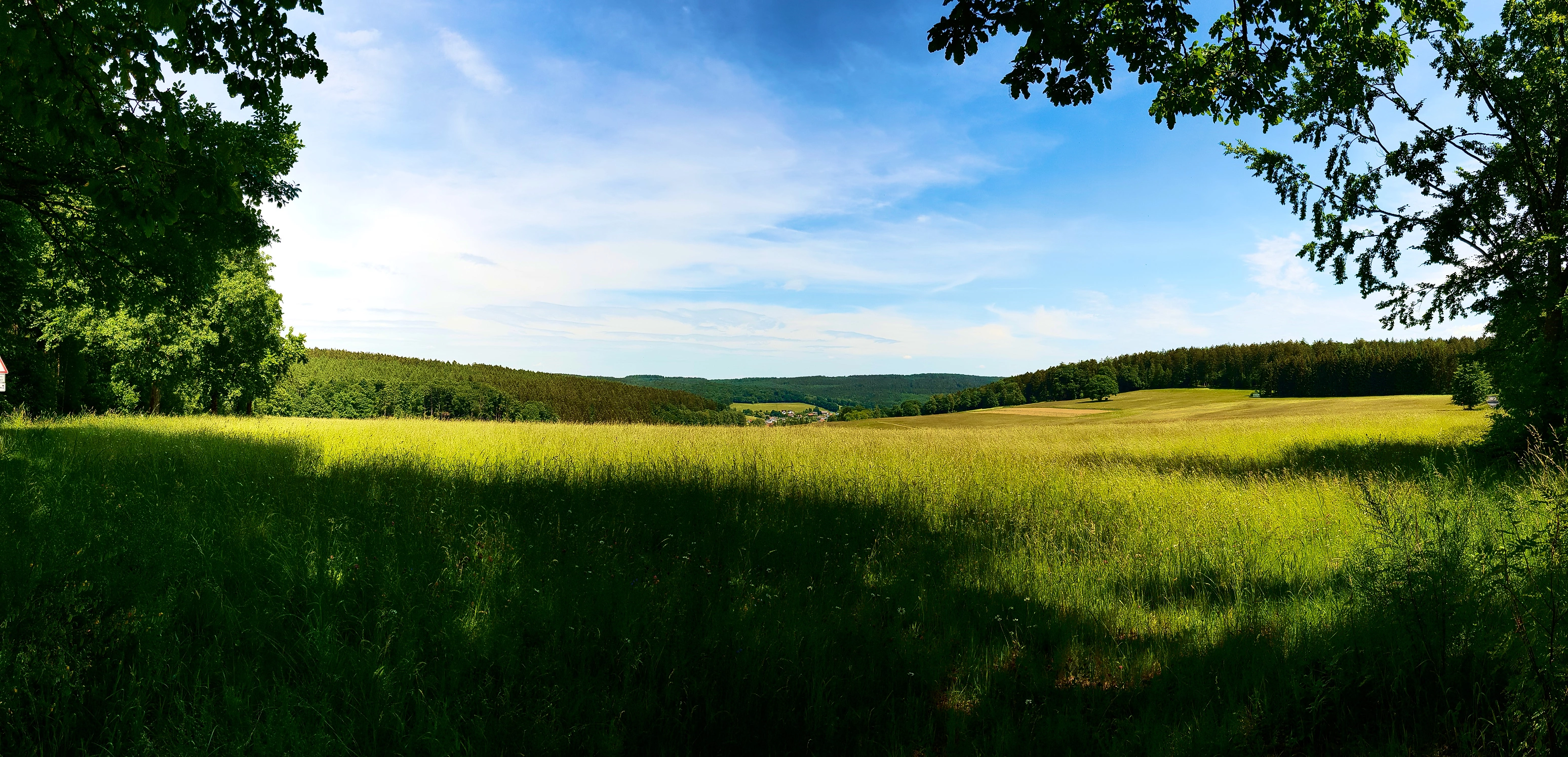 Ausblick Drei Buchen