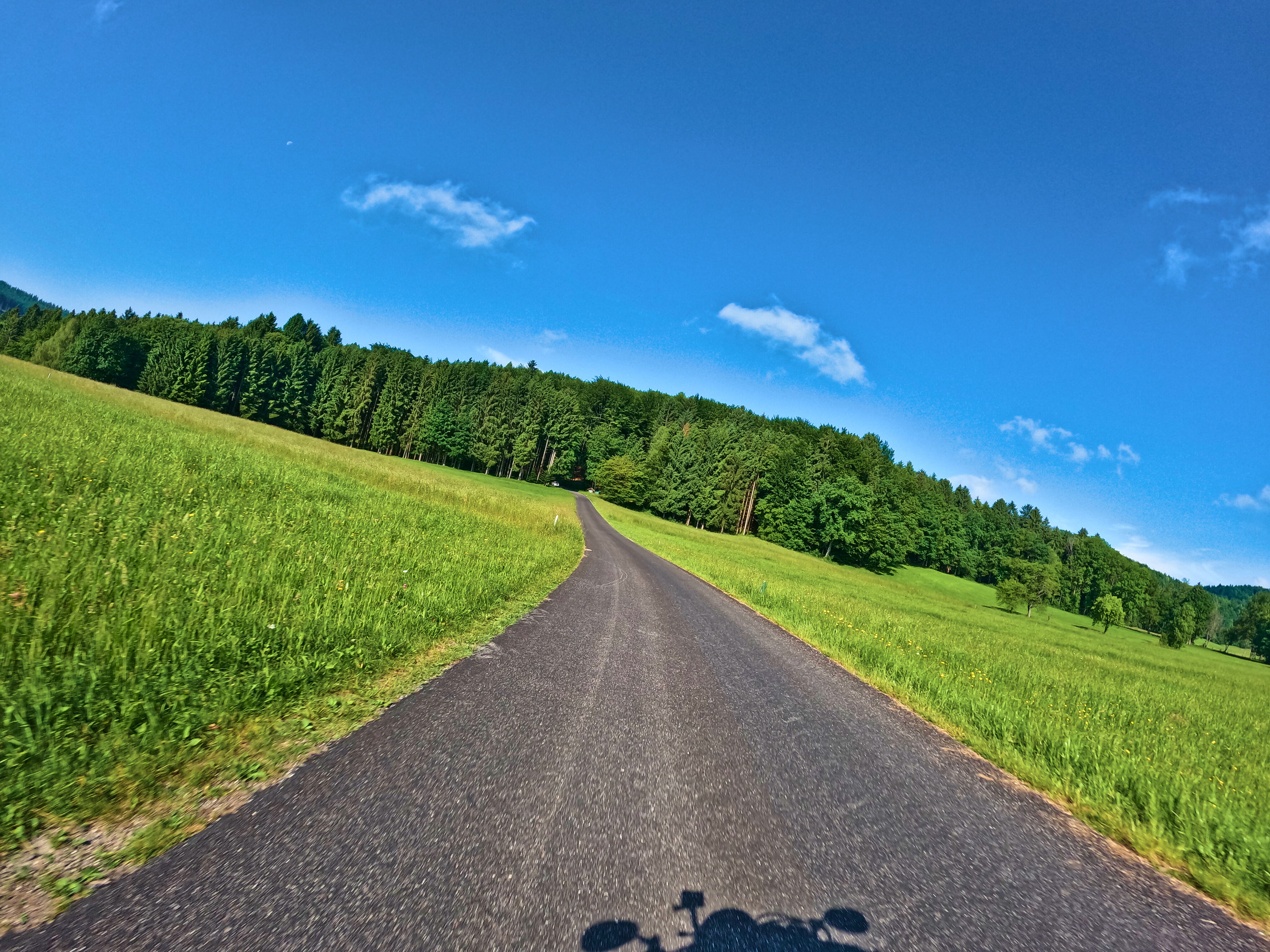 … führten mich über Wiesen …