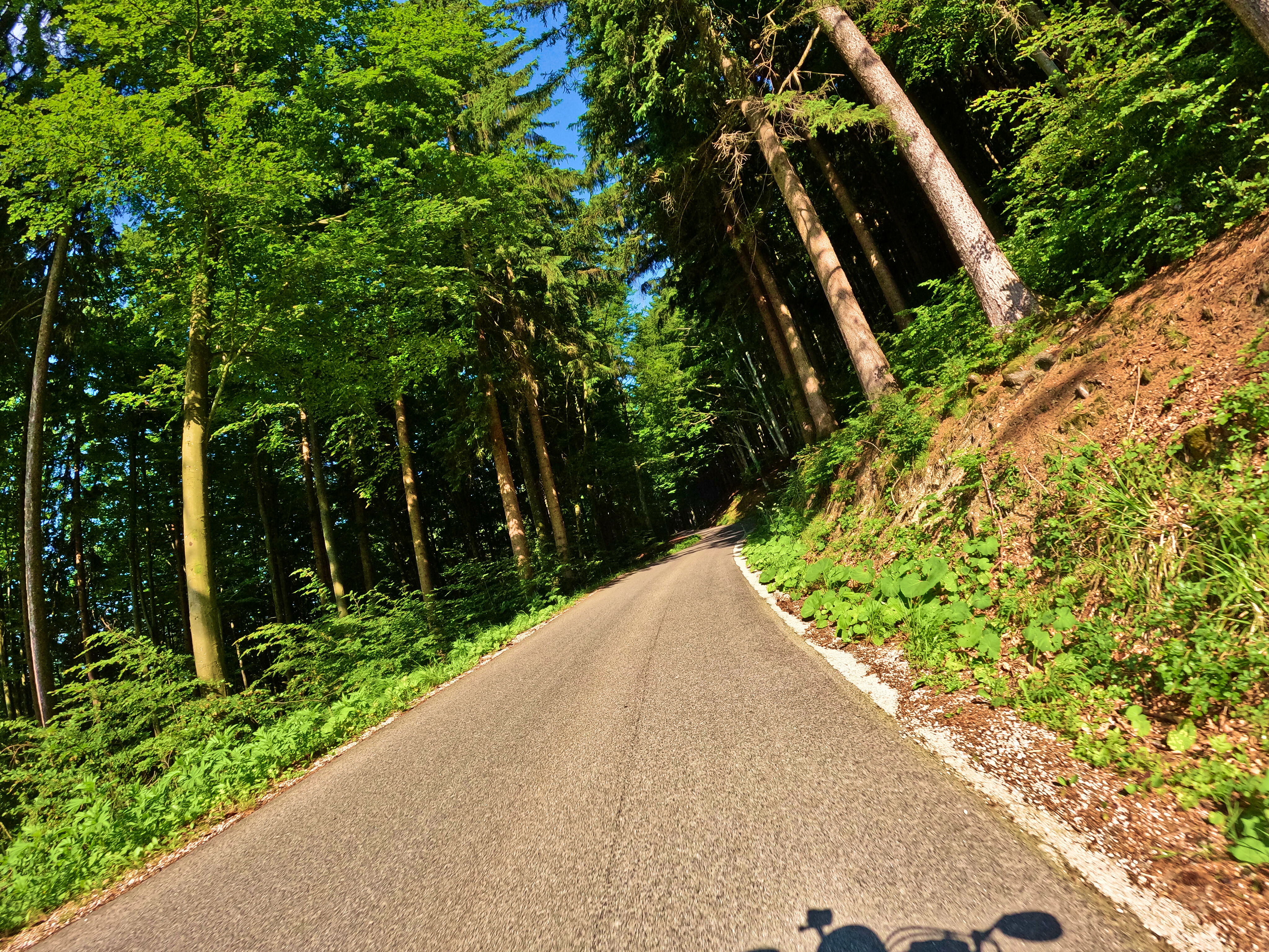 … und durch Wälder …