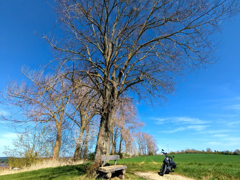 Featured image of post #MotoMontag (132)