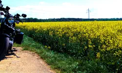 Featured image of post #MotoMontag (168)