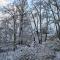 Neuer Schnee Ende Februar