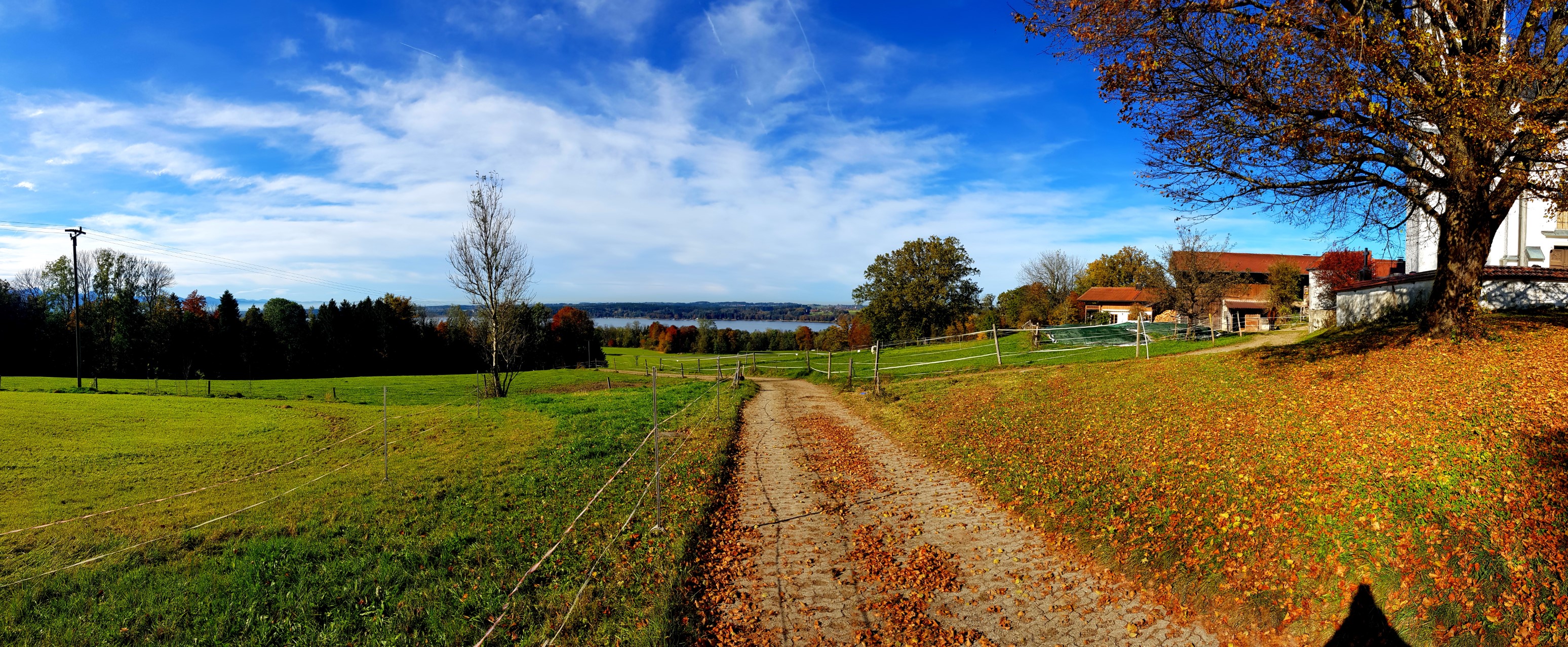 Im Hintergrund: Der Simsee