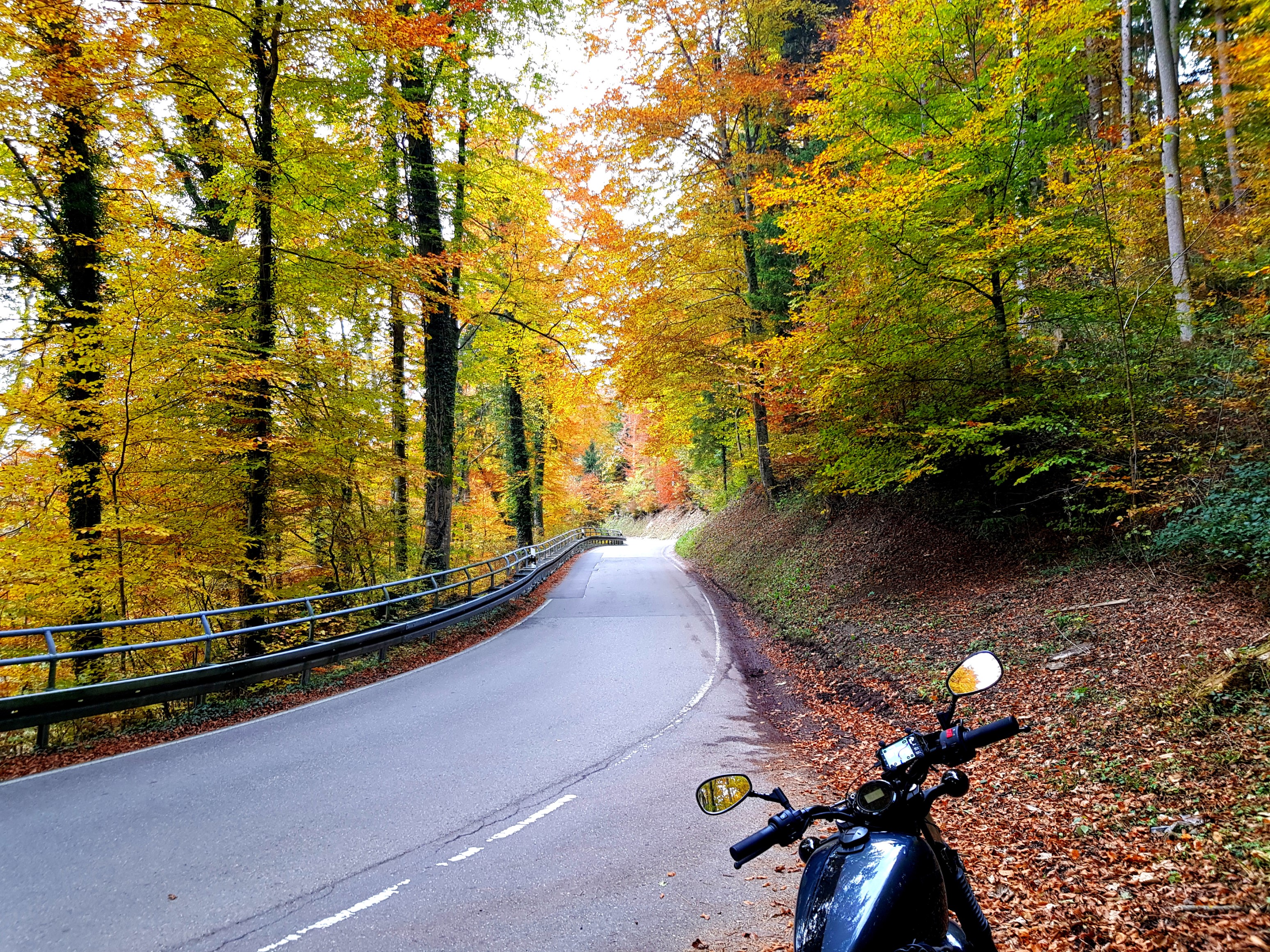 … in herbstlichen Farben