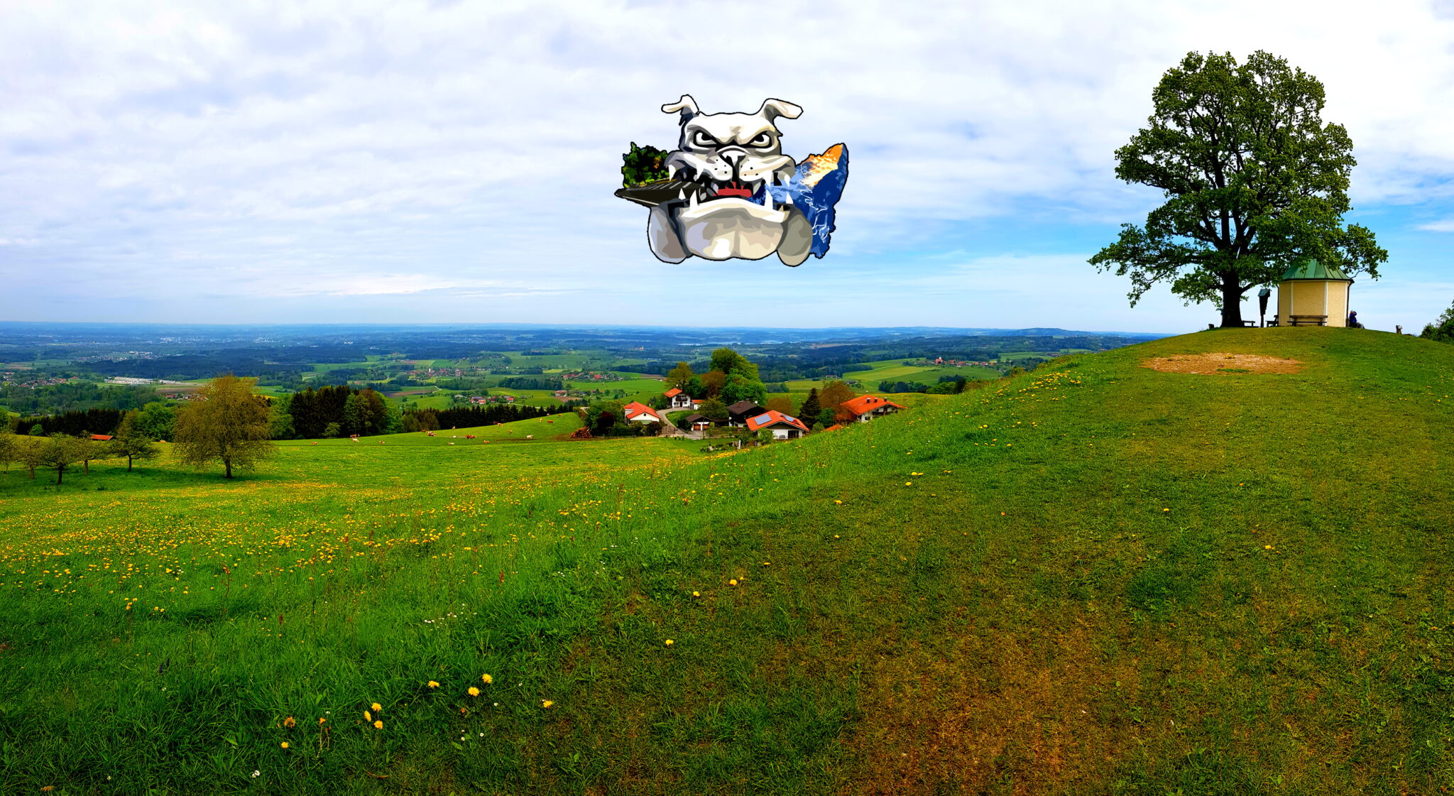 Featured image of post Passknacker, die erste Fahrt