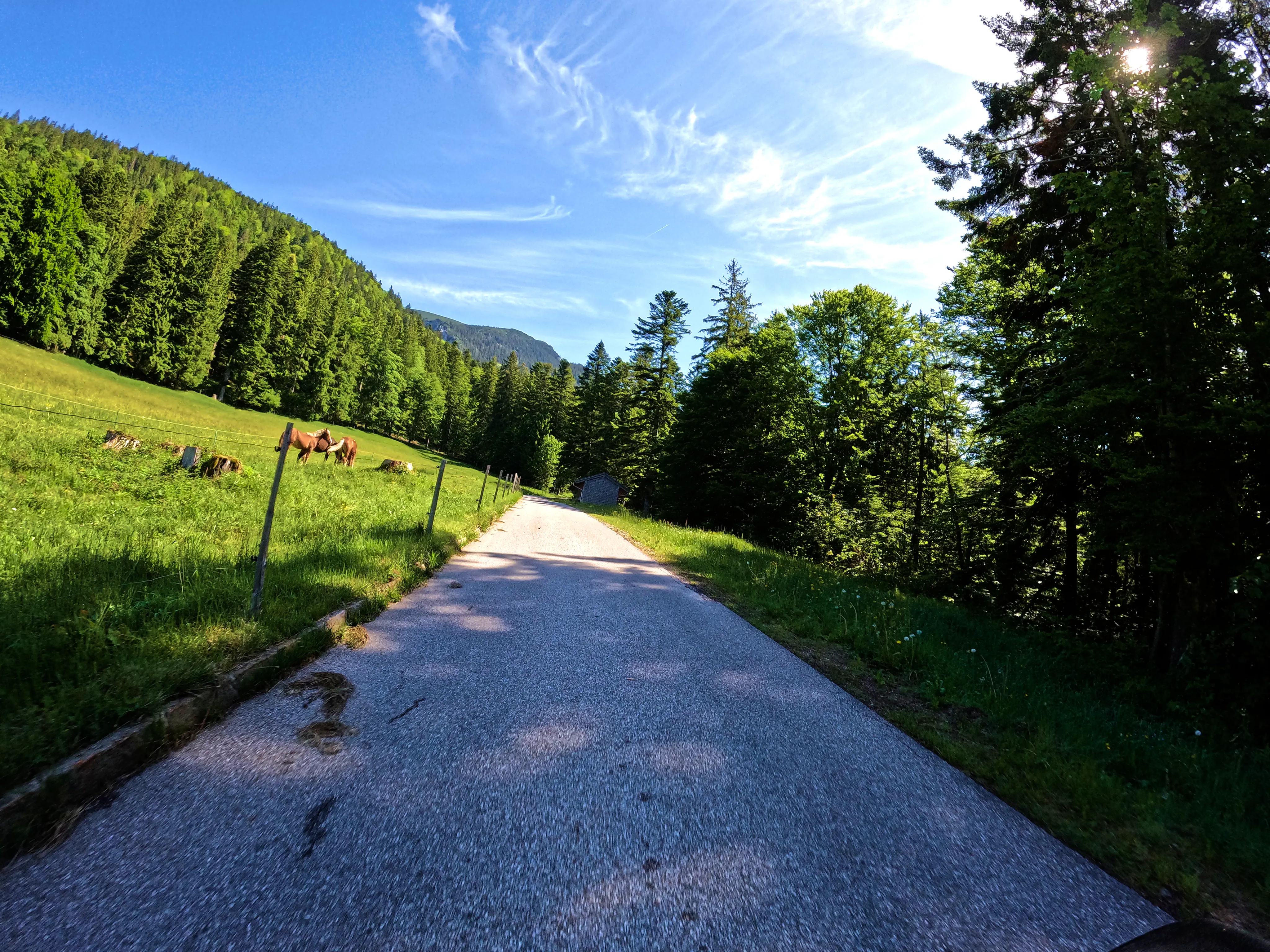 … vorbei an Pferden.