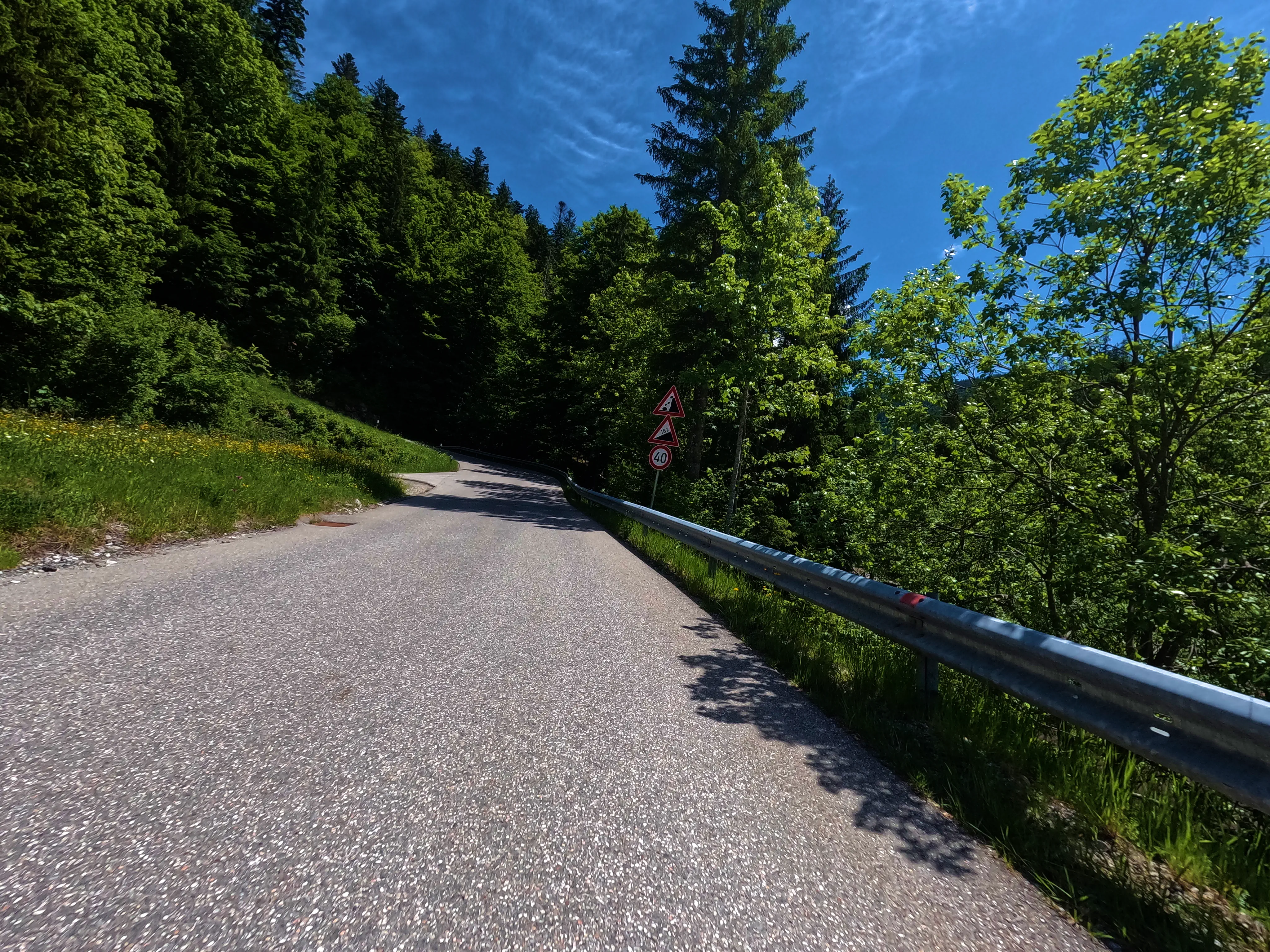 Höhenstraße Winklmoos-Alm