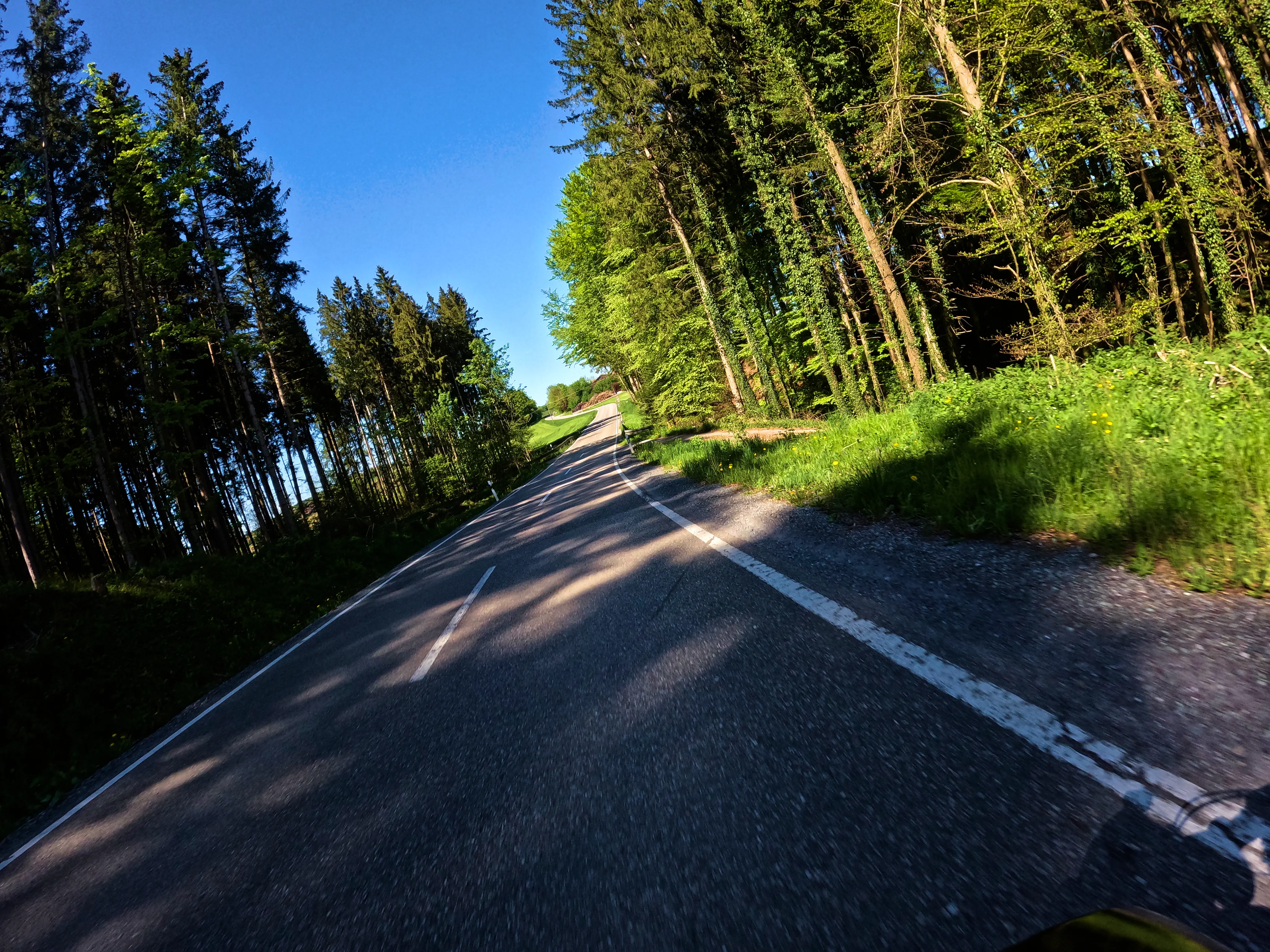 … schattig durch Wälder.