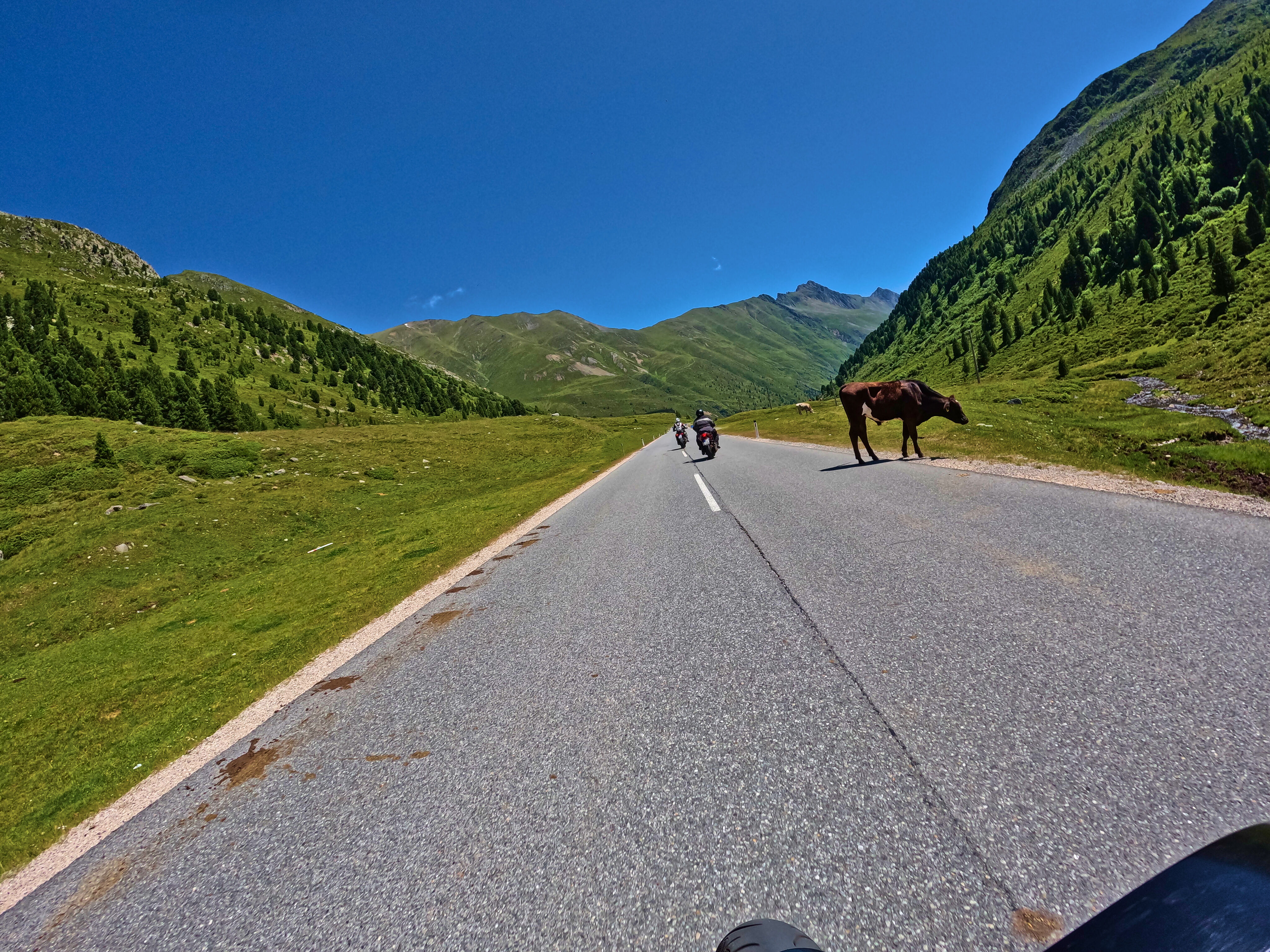 Kuhmist kann schmierig werden
