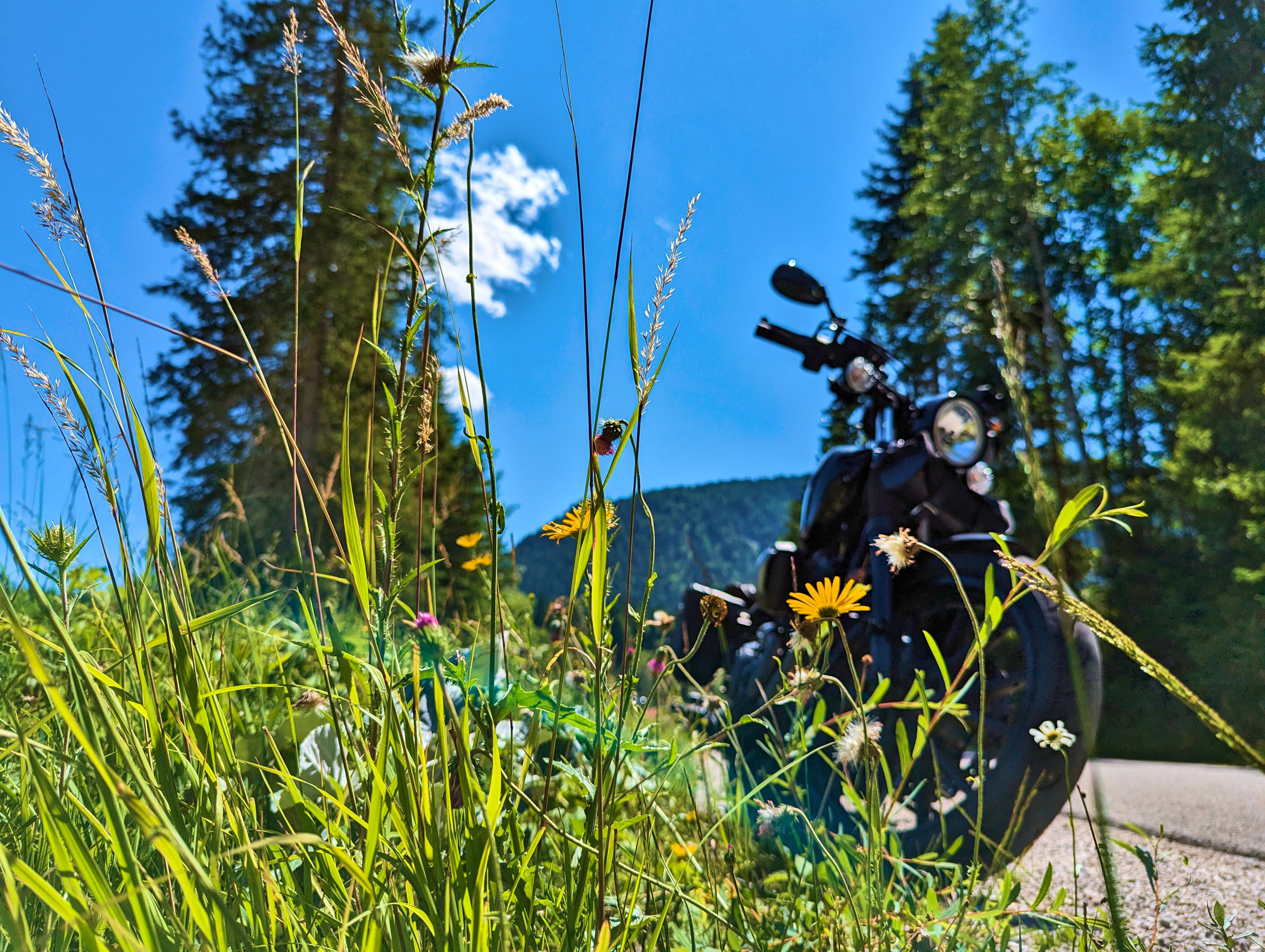 Mautstraße Wallgau-Vorderriß, zweiter Fotostopp