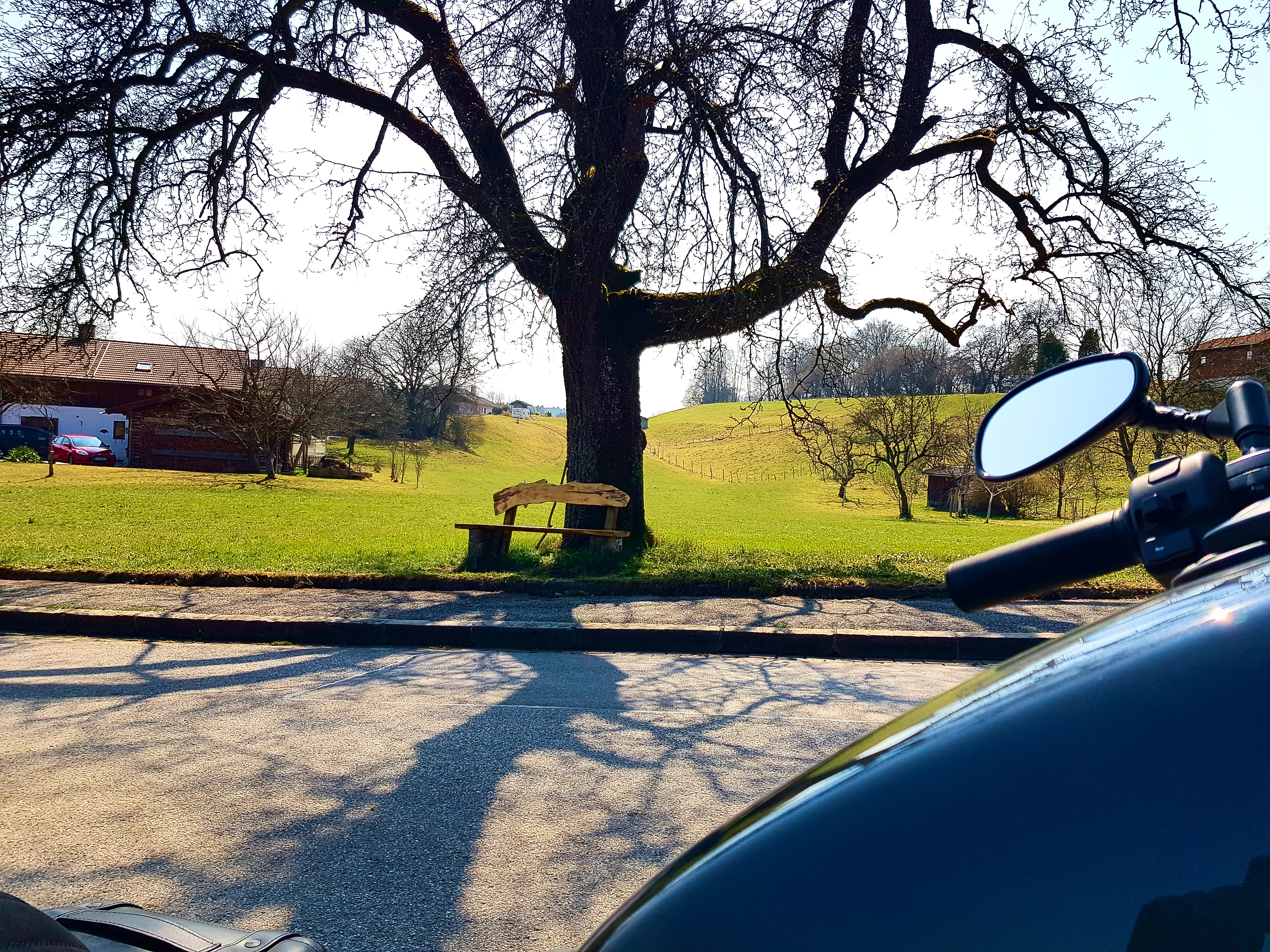 Ich mag selbstgezimmerte Rastbänke an Bäumen